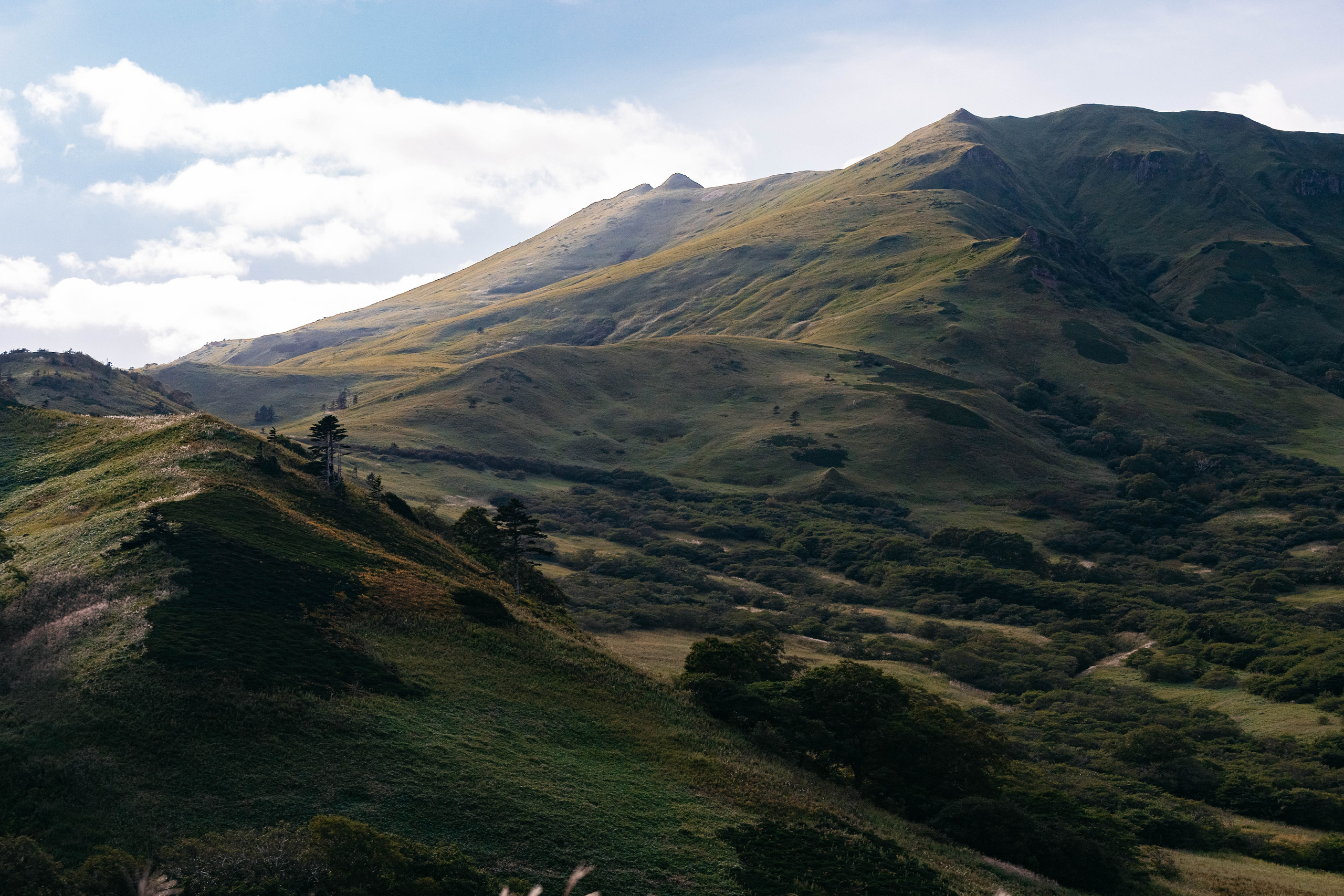 Сахалин. Event фотограф Степанова Александра