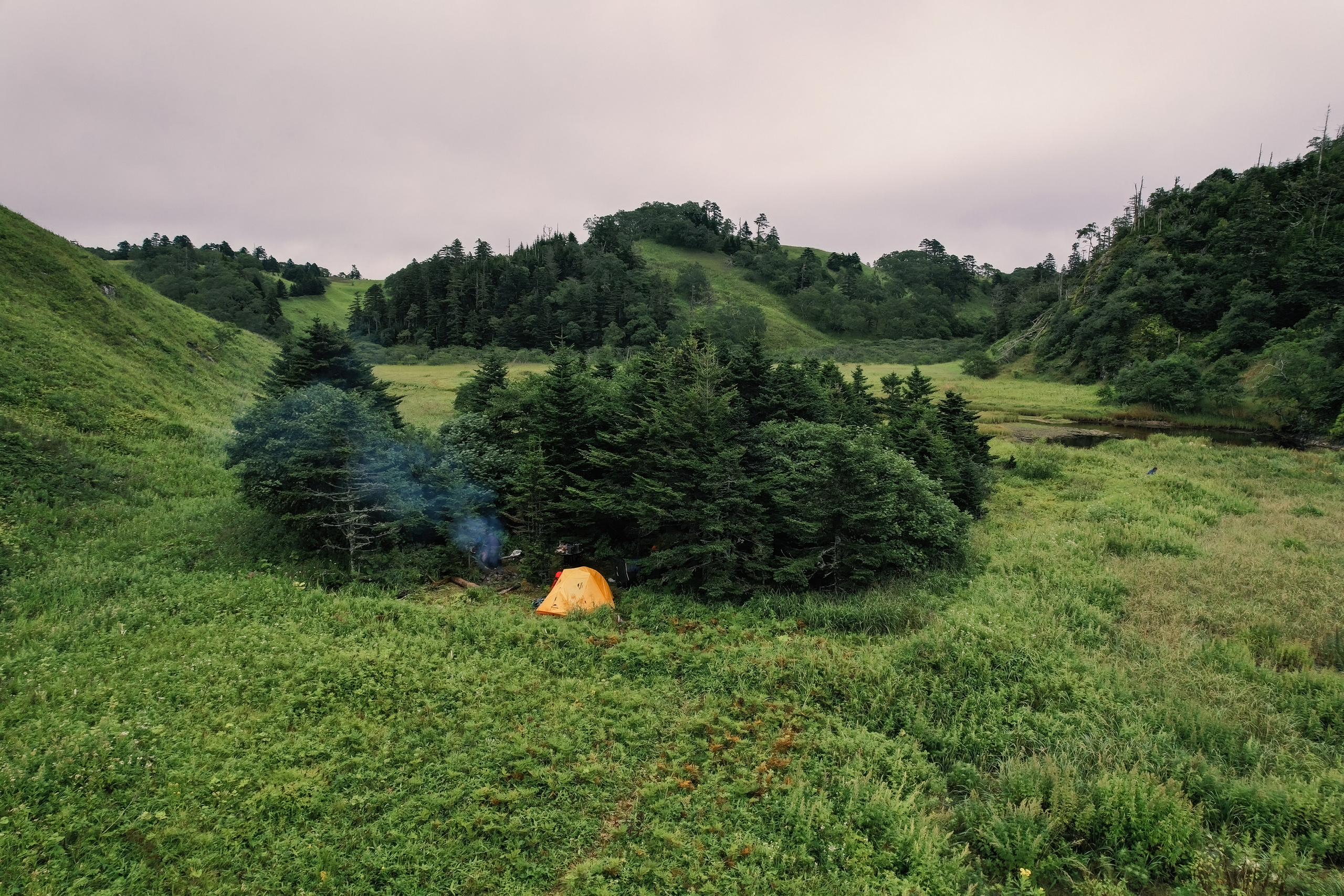 Сахалин. Event фотограф Степанова Александра