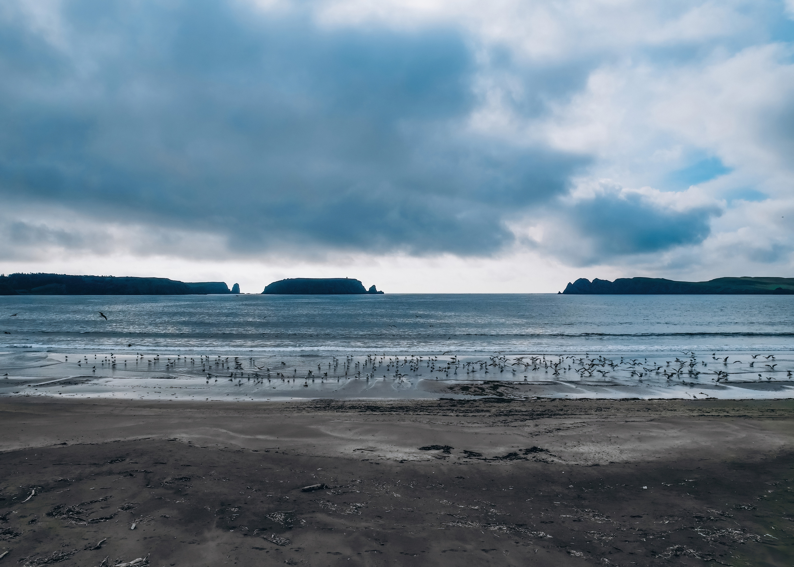 Сахалин. Event фотограф Степанова Александра