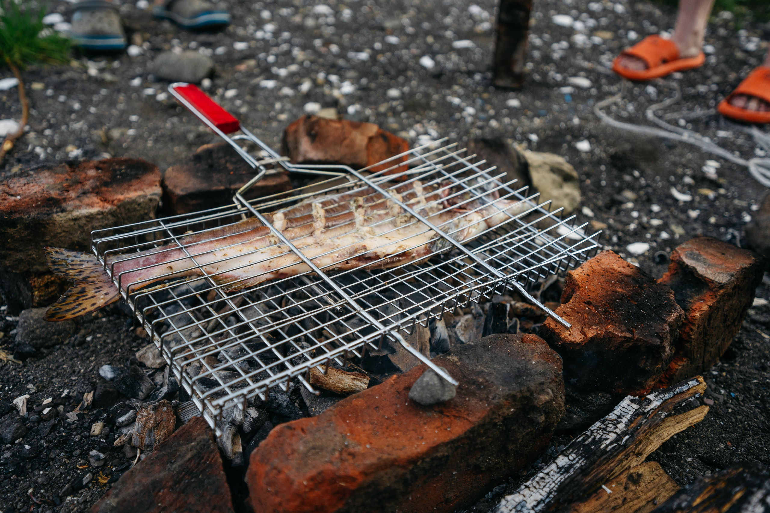 Сахалин. Event фотограф Степанова Александра