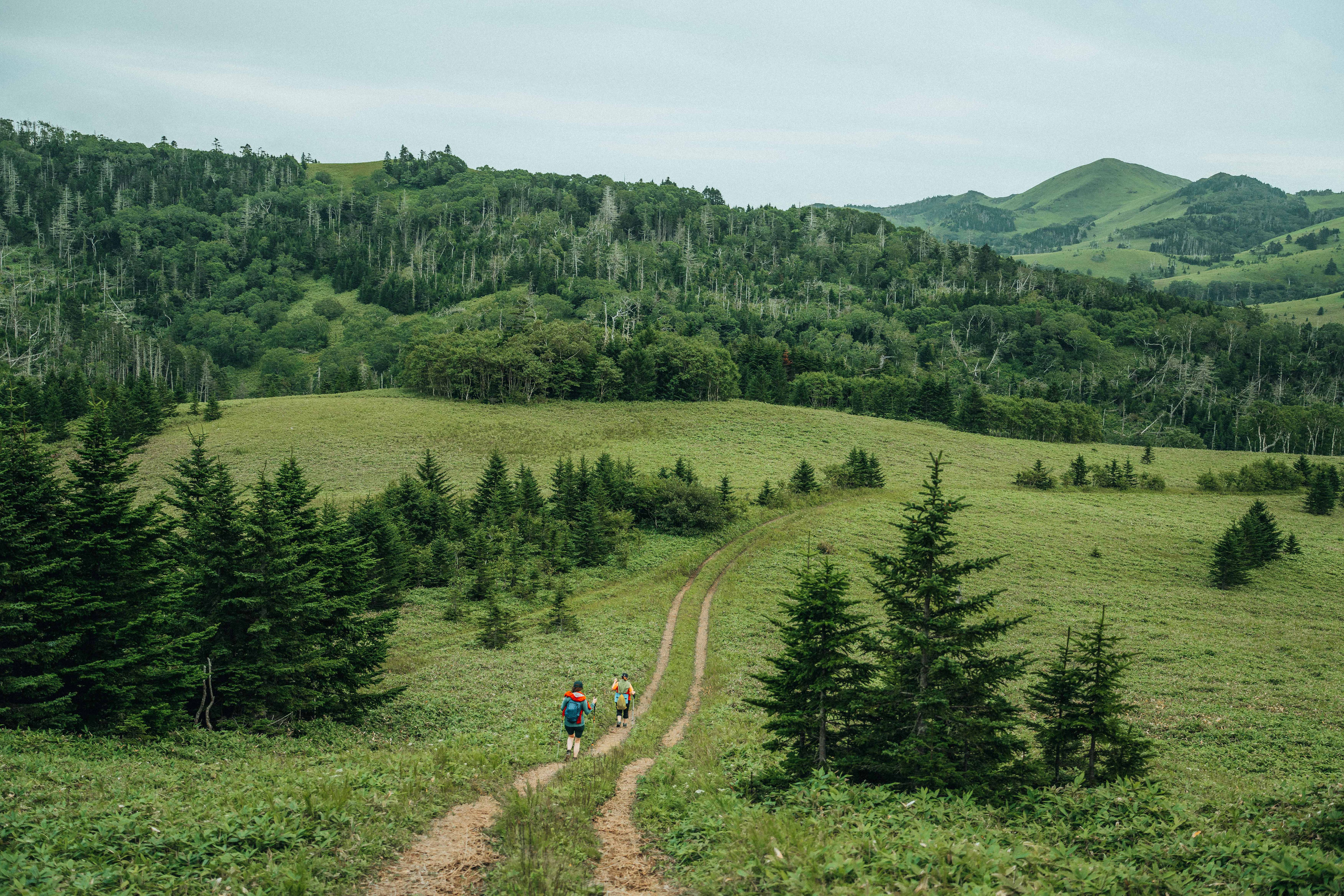 Сахалин. Event фотограф Степанова Александра