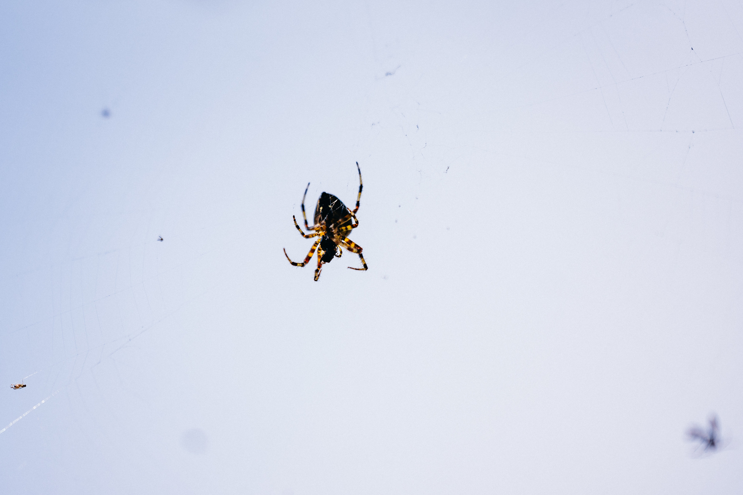 Сахалин. Event фотограф Степанова Александра