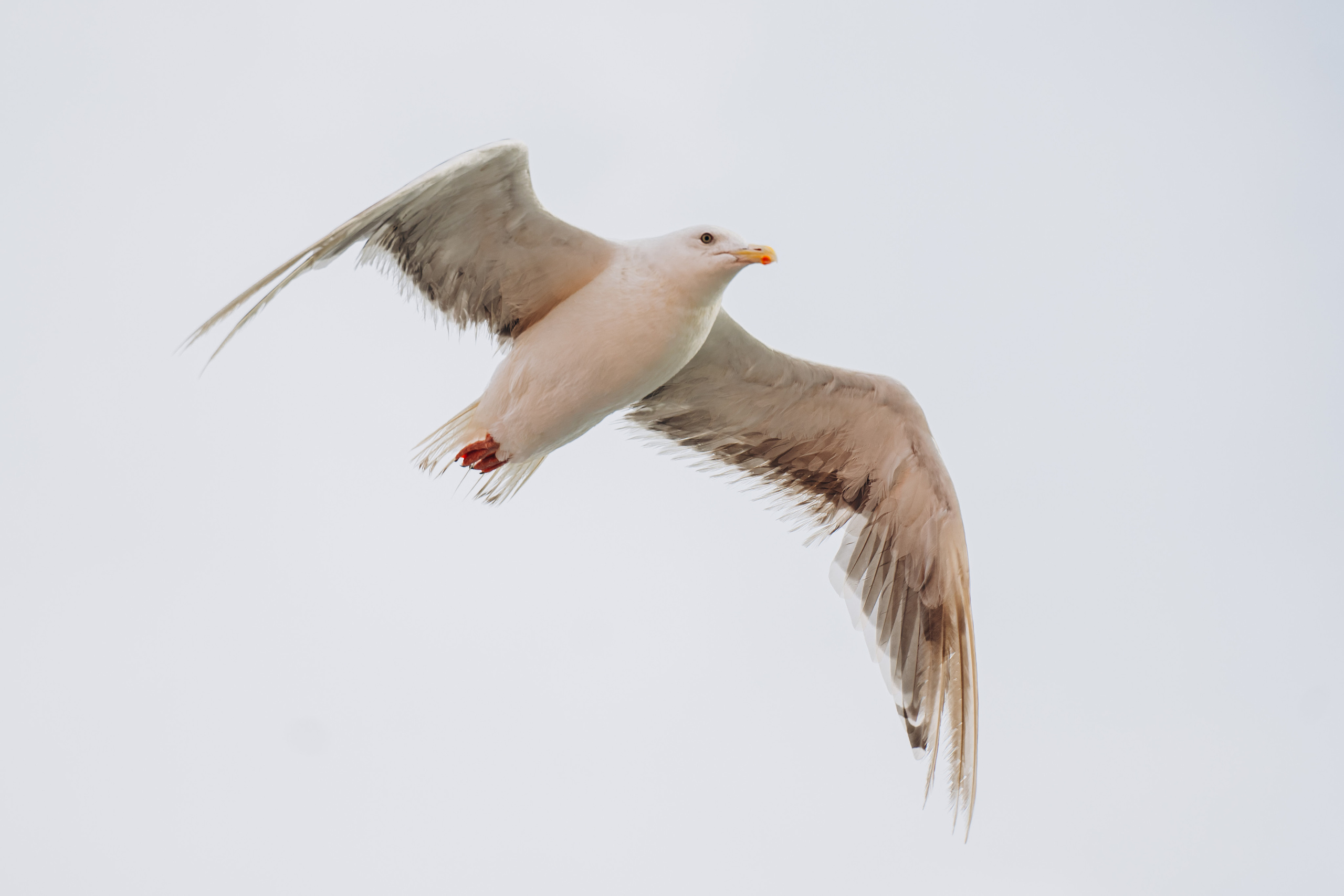 Сахалин. Event фотограф Степанова Александра