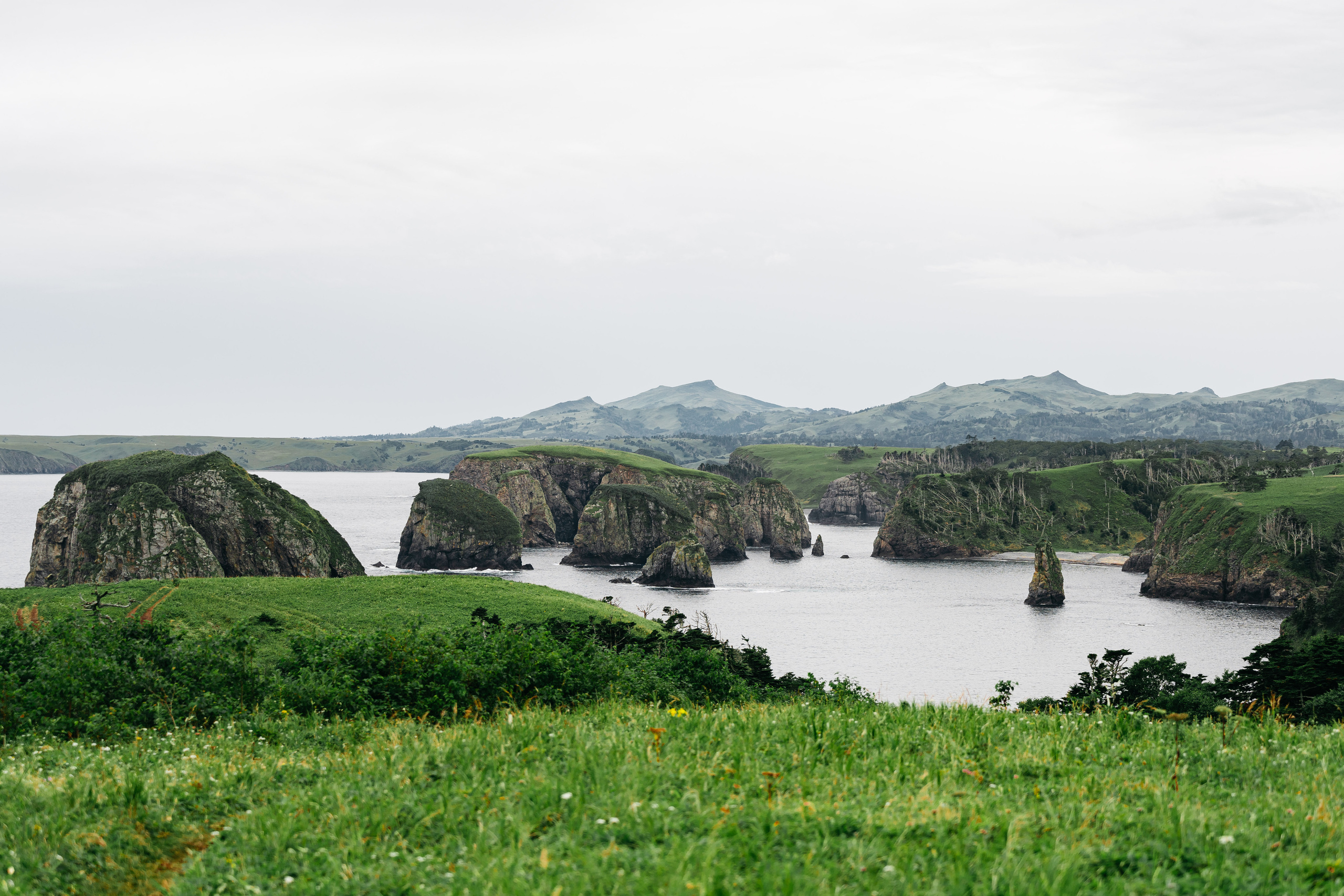 Сахалин. Event фотограф Степанова Александра