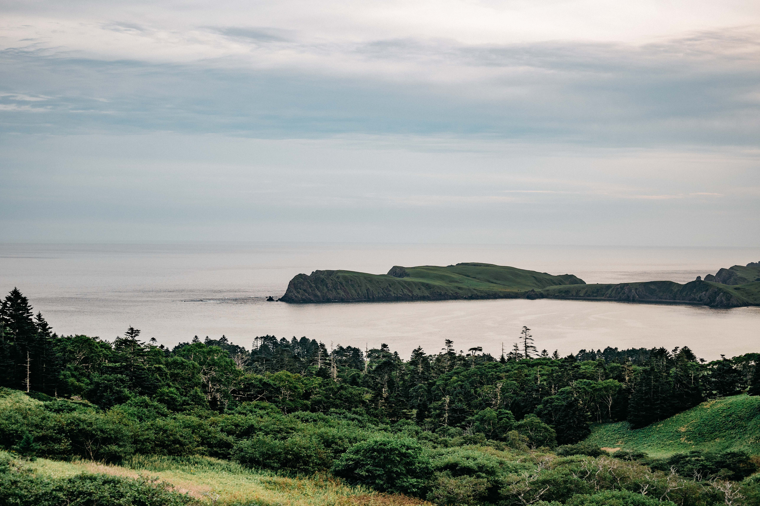 Сахалин. Event фотограф Степанова Александра