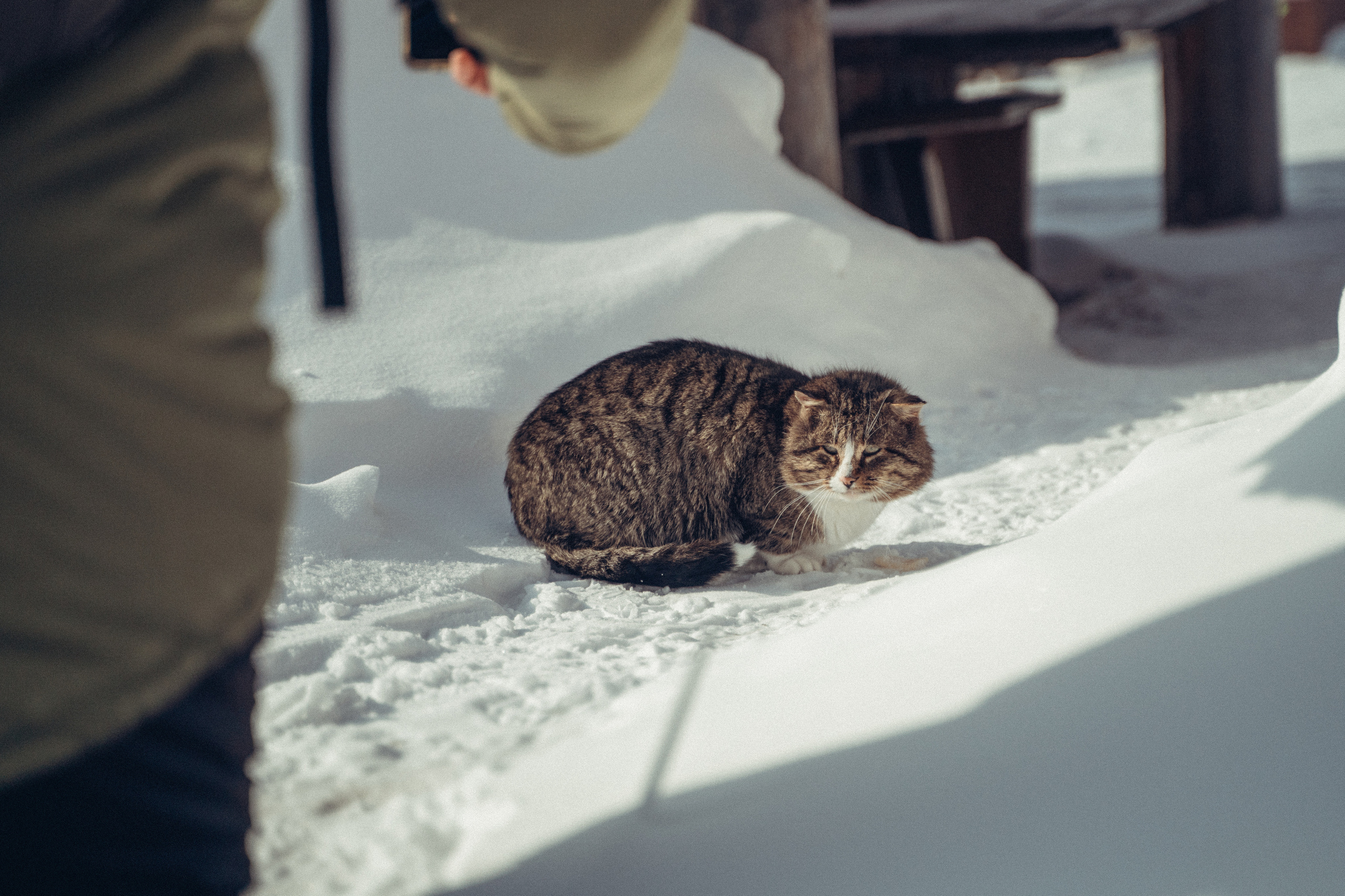 Байкал. Event фотограф Степанова Александра
