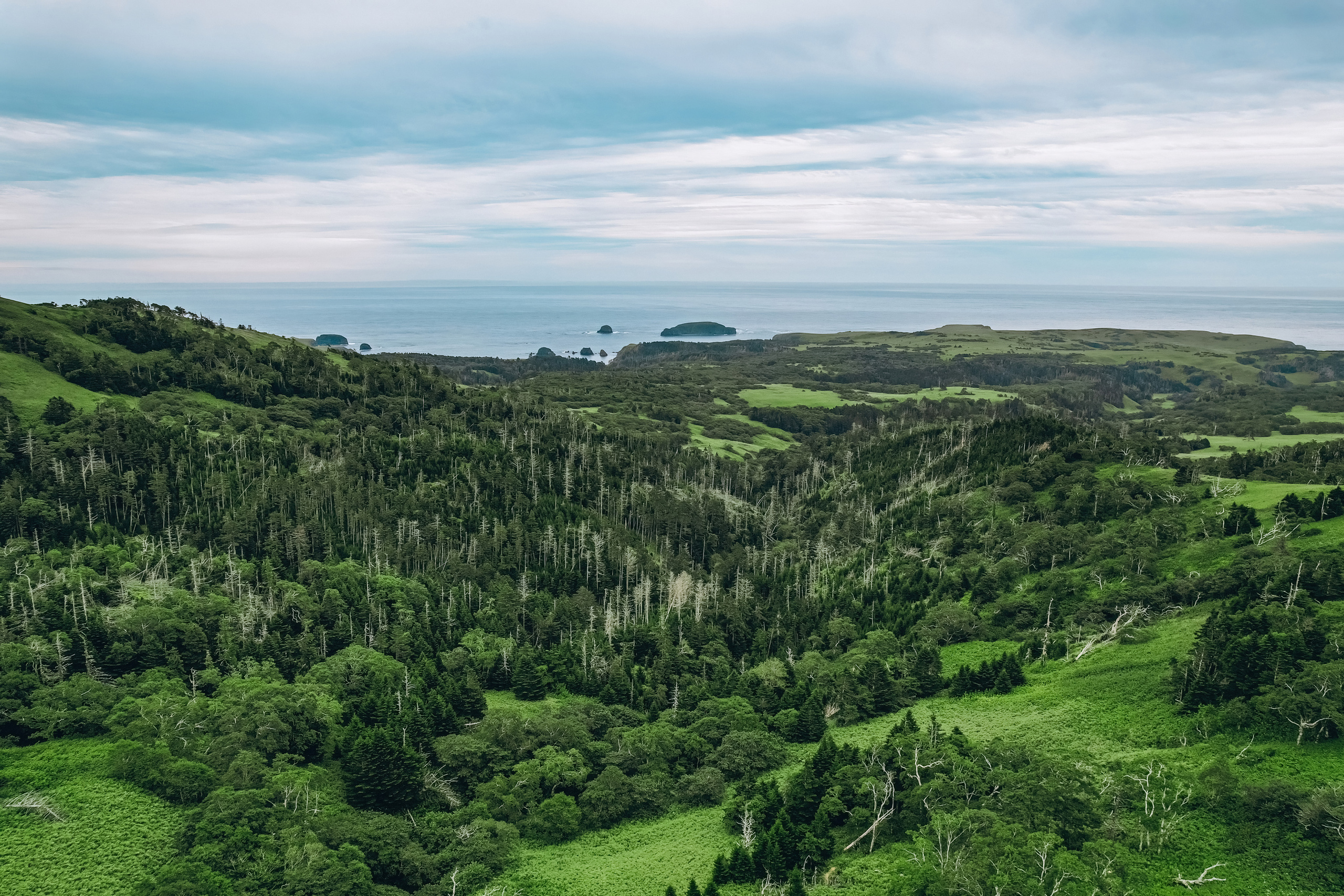 Сахалин. Event фотограф Степанова Александра