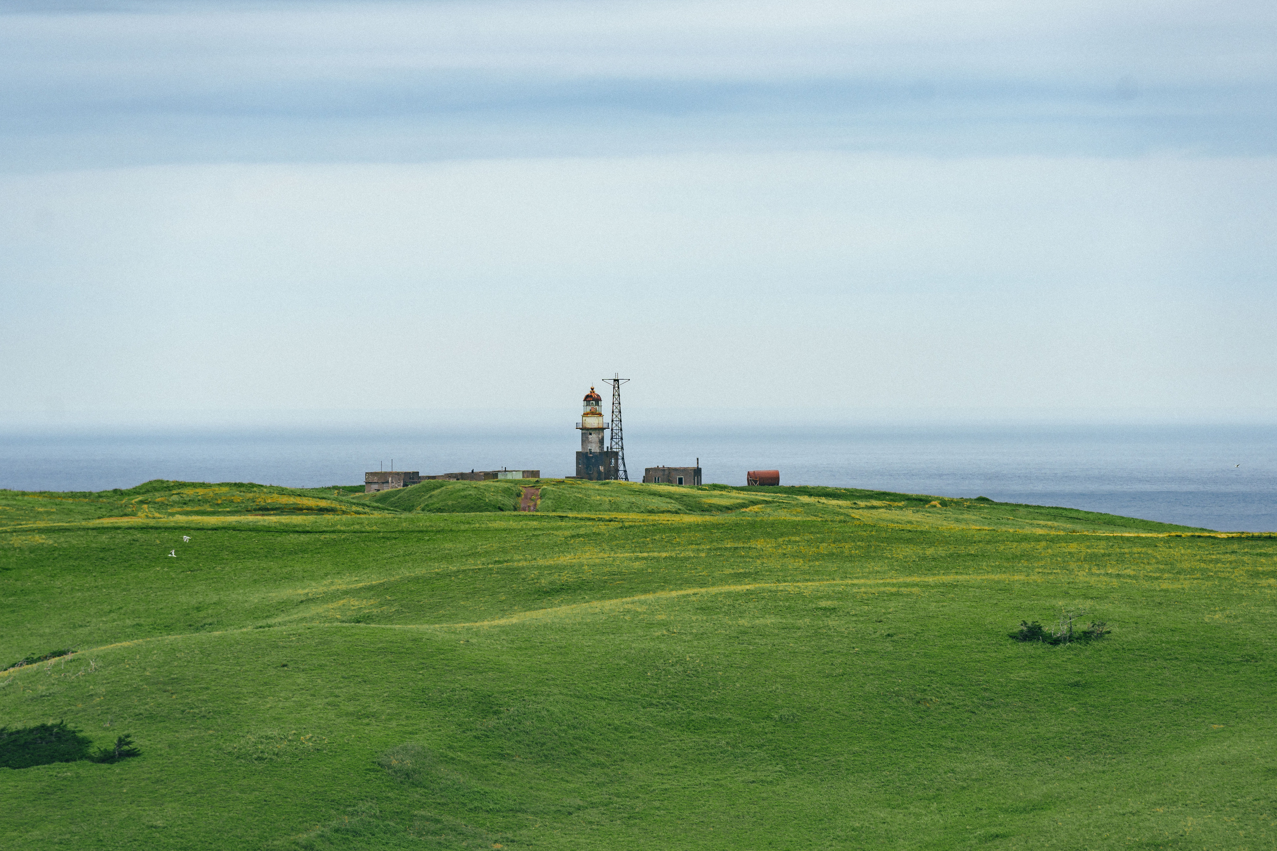 Сахалин. Event фотограф Степанова Александра