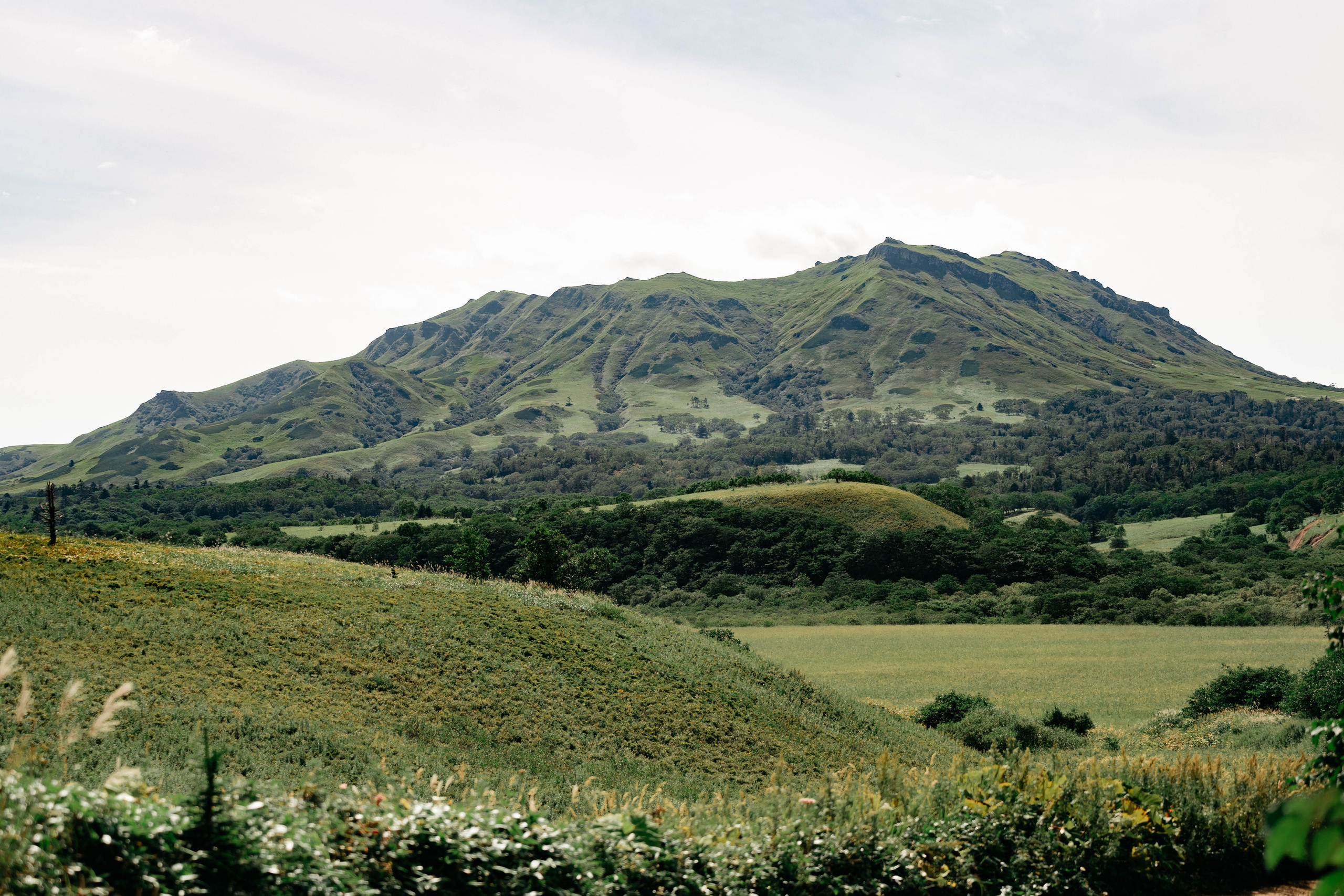 Сахалин. Event фотограф Степанова Александра