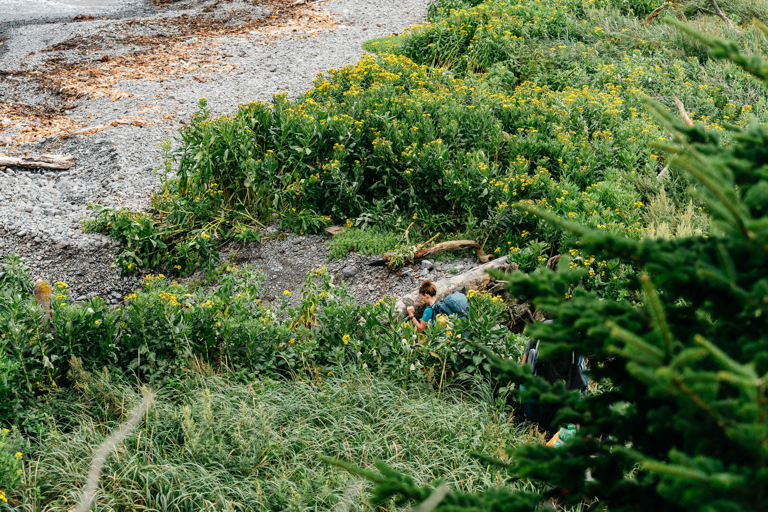 Сахалин. Event фотограф Степанова Александра