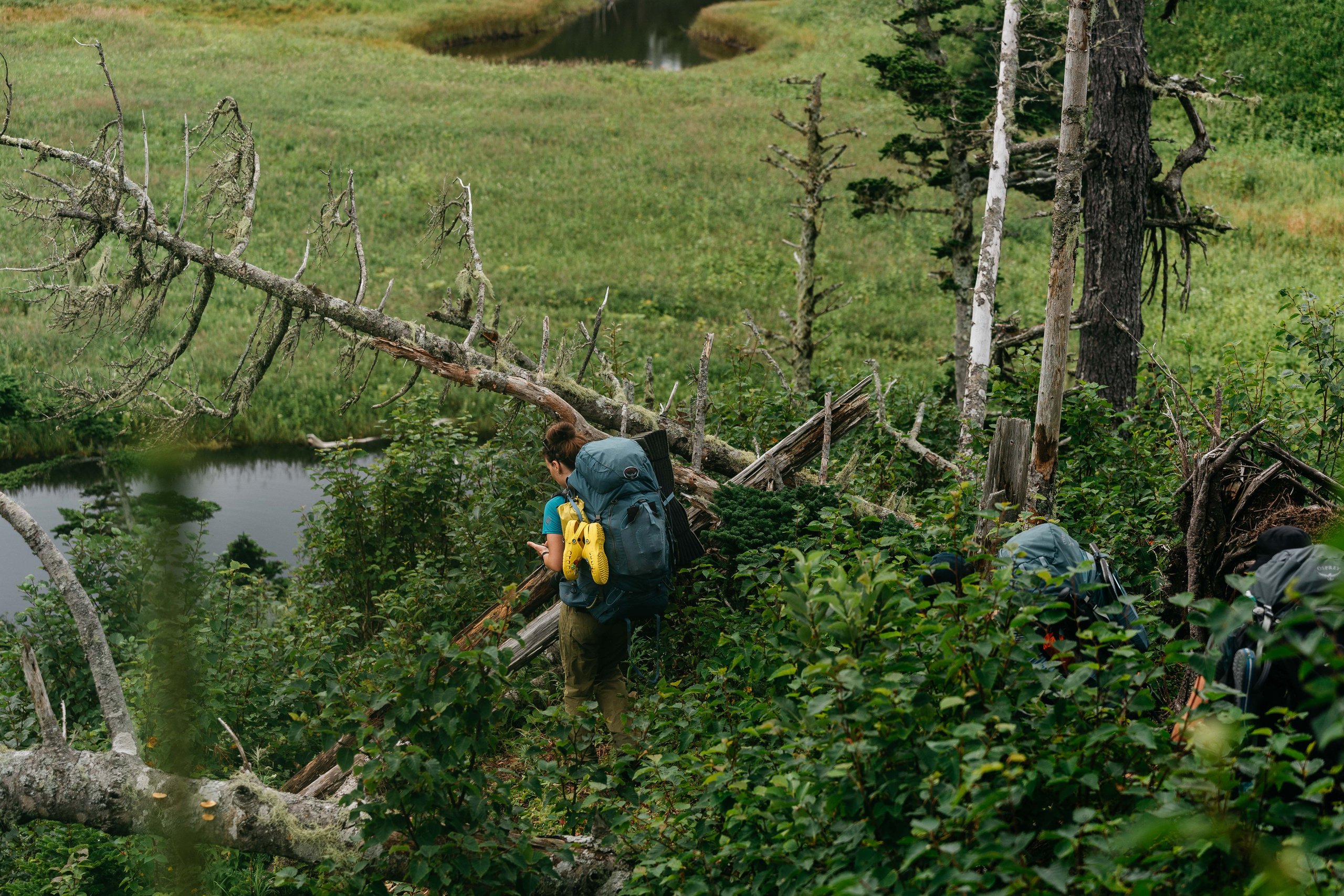 Сахалин. Event фотограф Степанова Александра