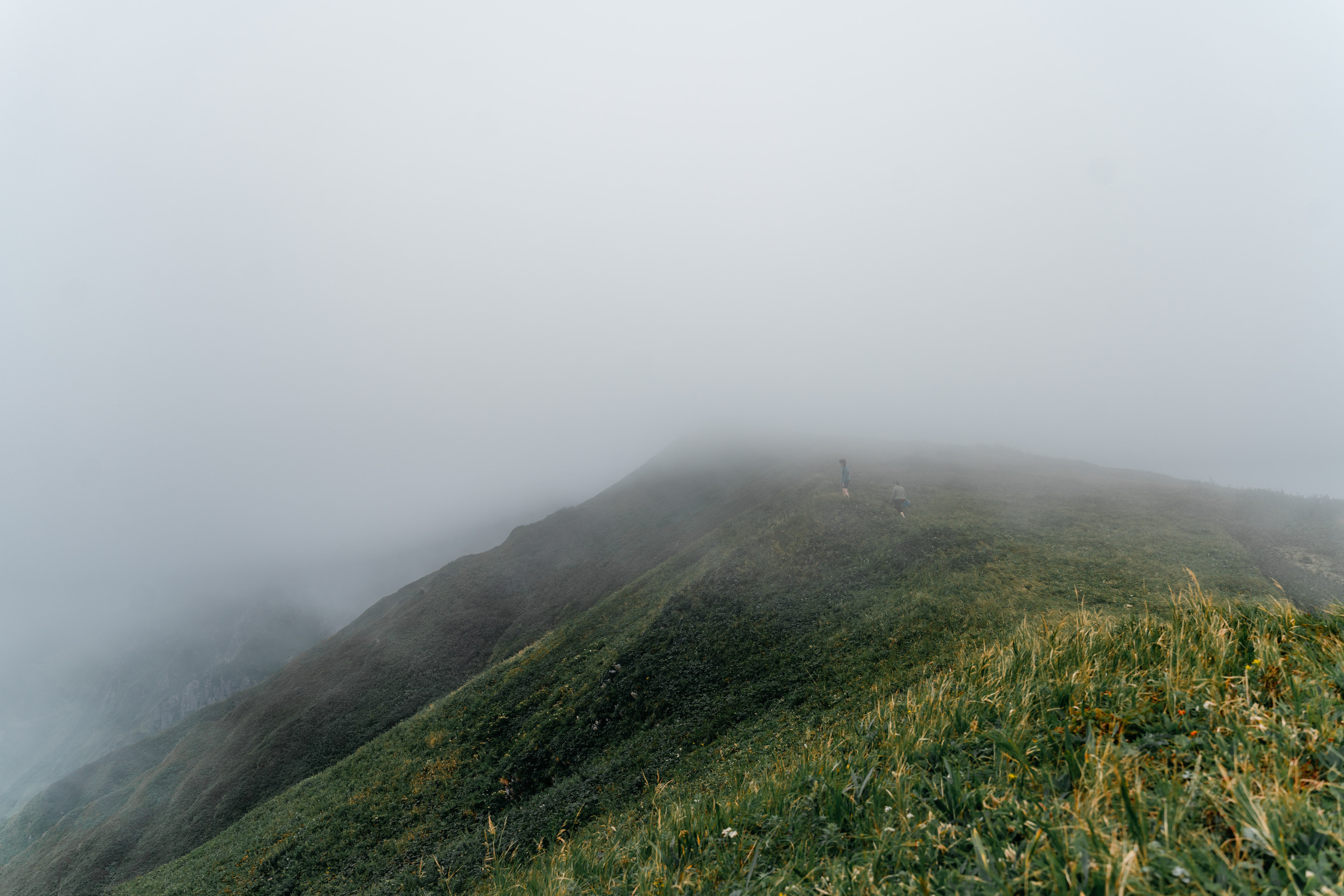 Сахалин. Event фотограф Степанова Александра