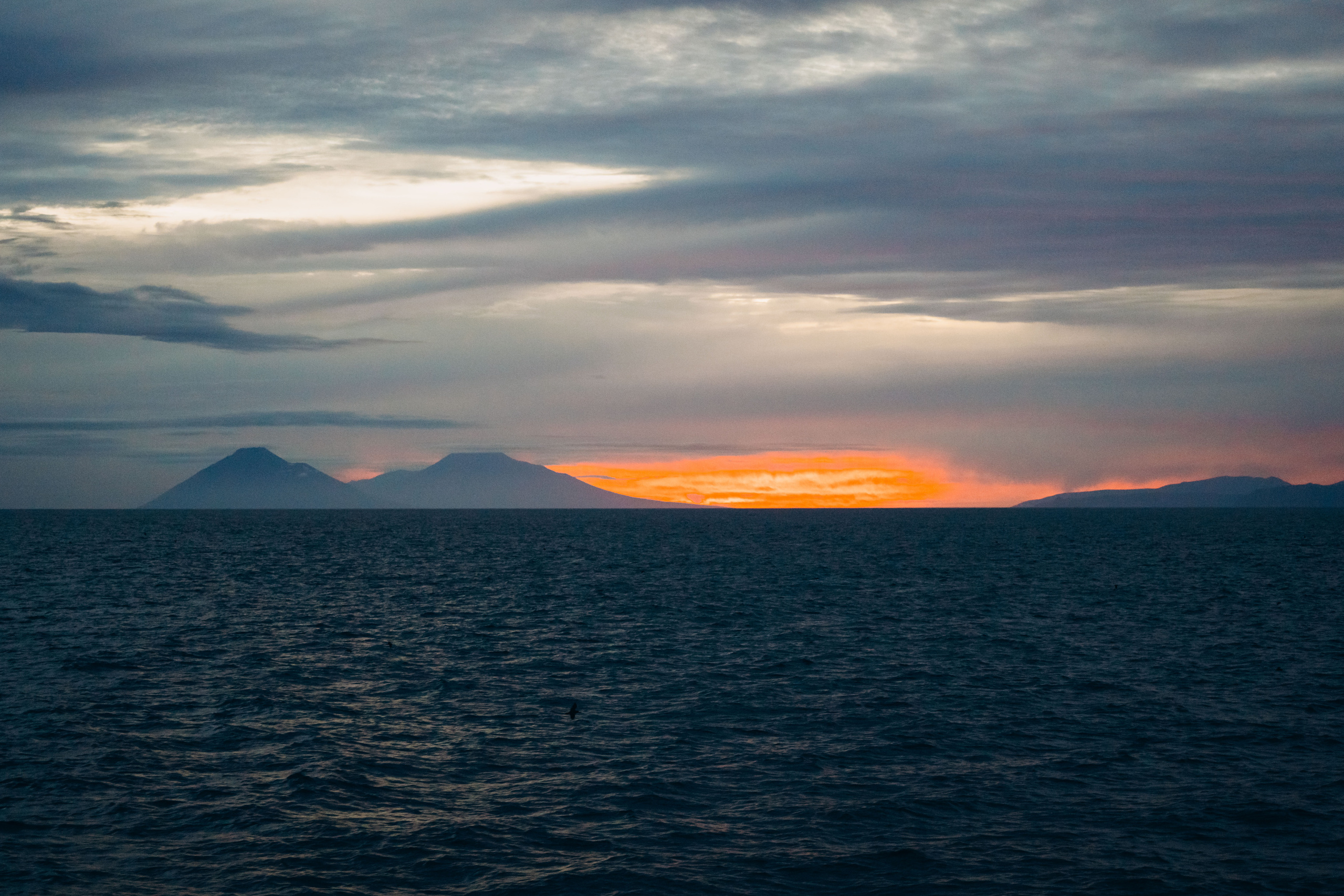 Сахалин. Event фотограф Степанова Александра