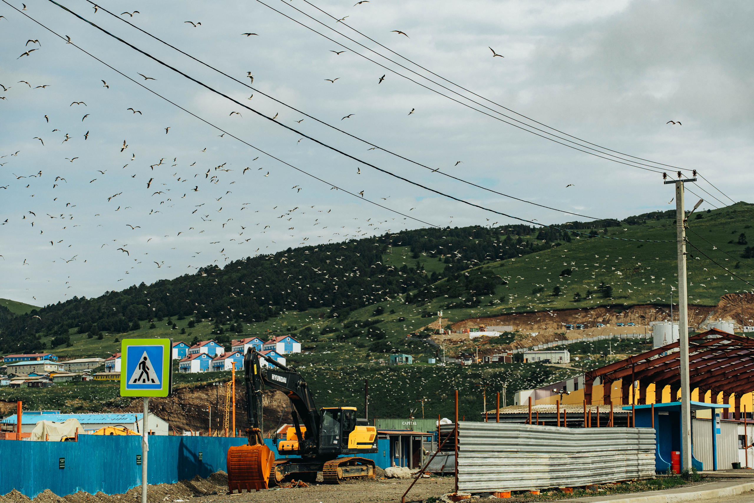 Сахалин. Event фотограф Степанова Александра