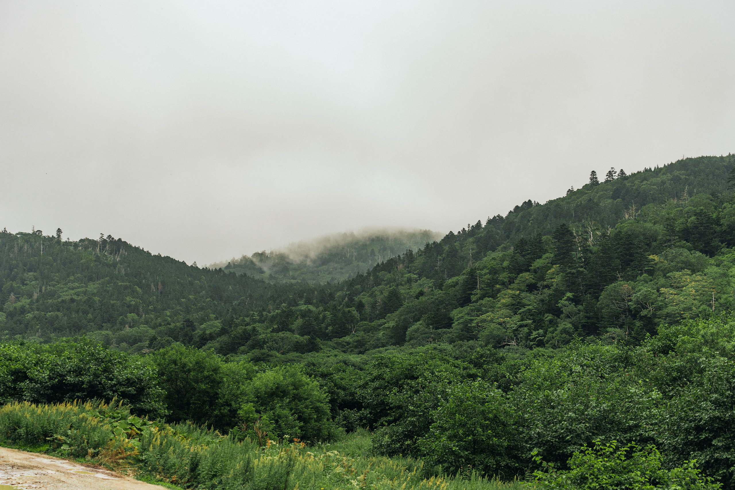 Сахалин. Event фотограф Степанова Александра
