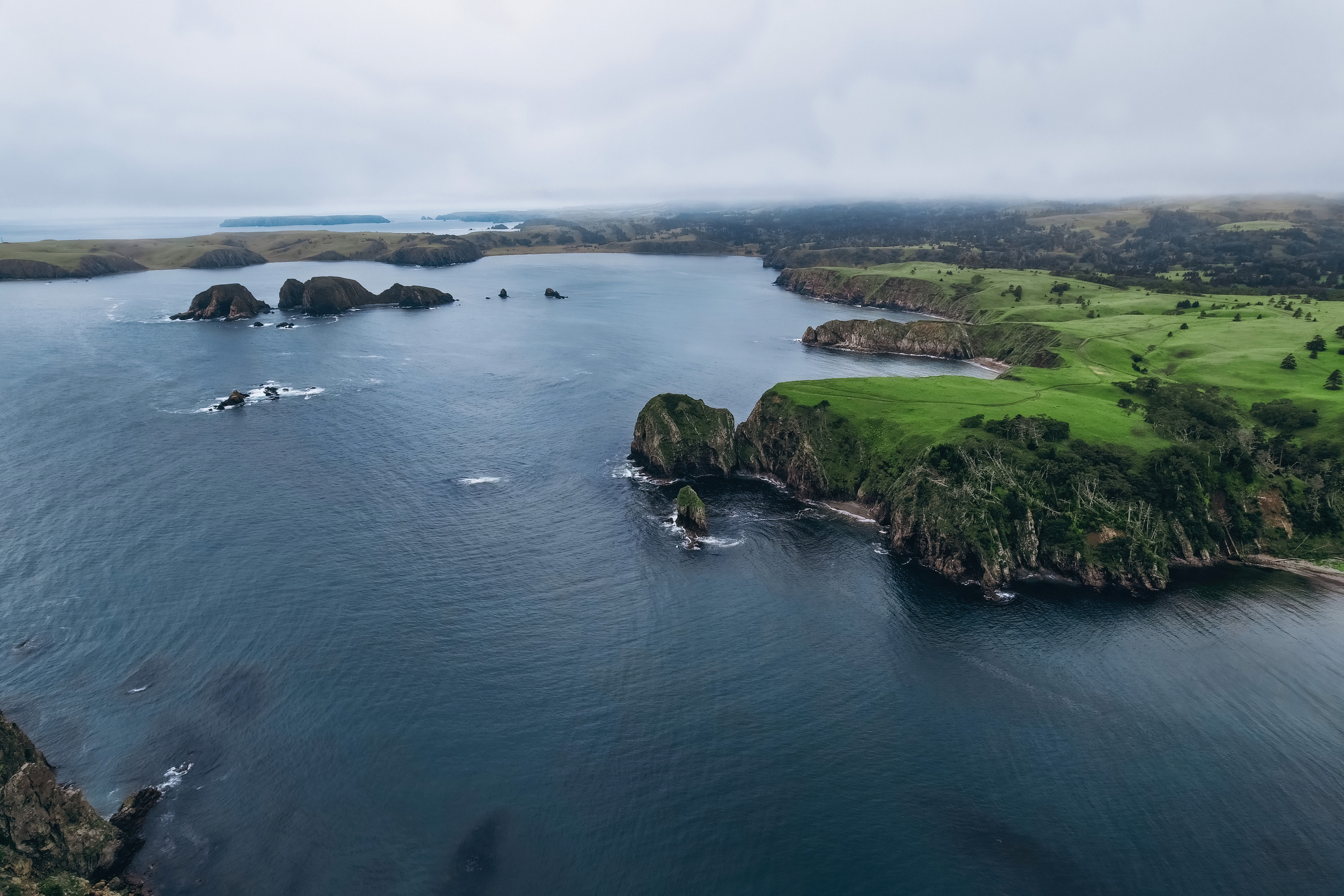 Сахалин. Event фотограф Степанова Александра