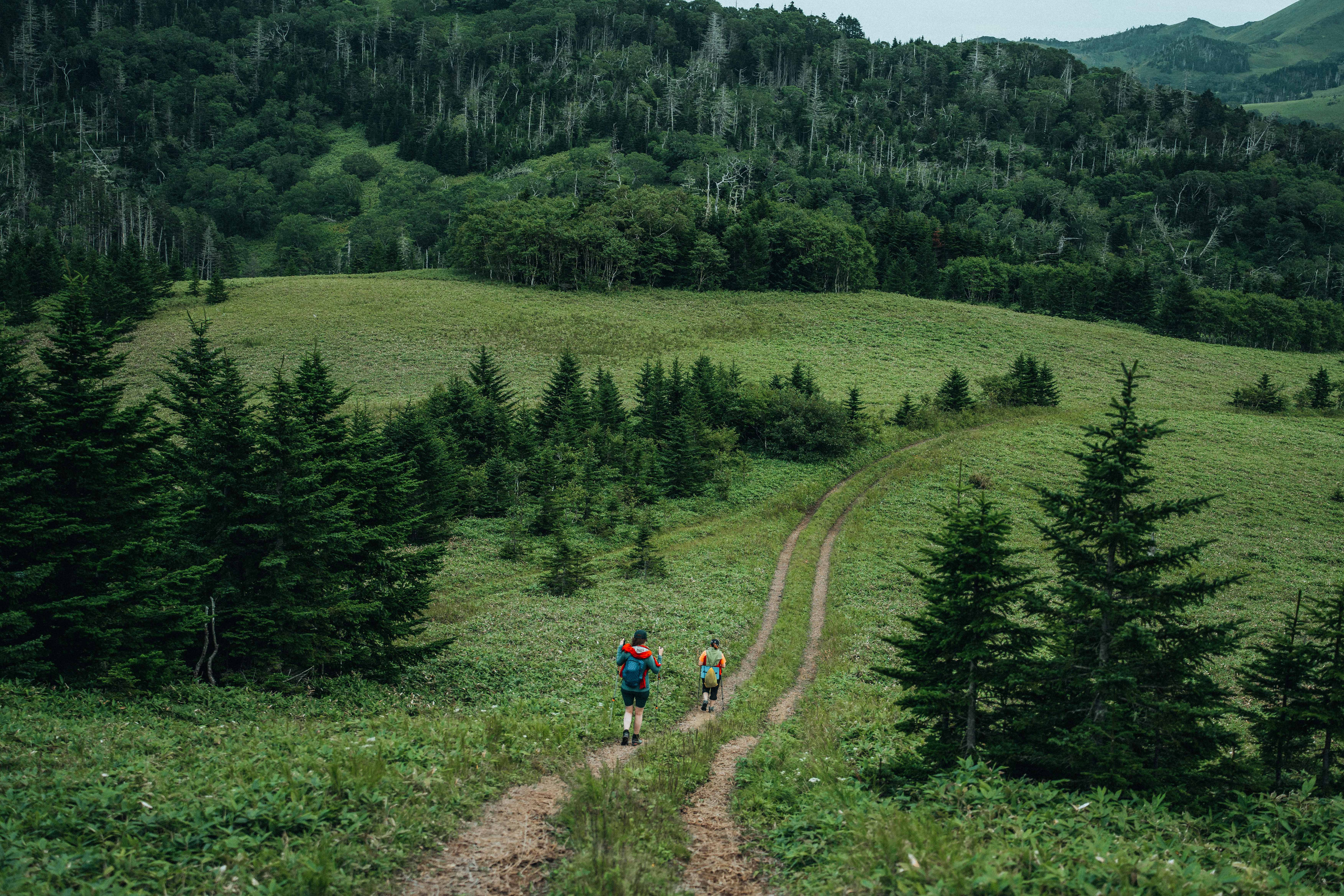 Сахалин. Event фотограф Степанова Александра