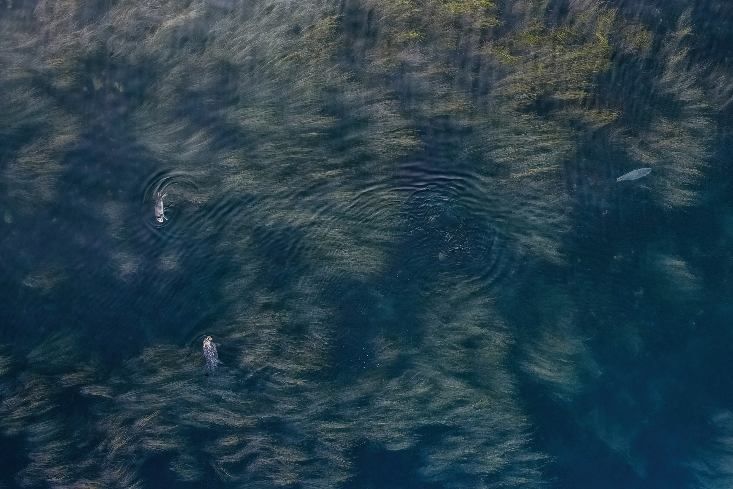 Сахалин. Event фотограф Степанова Александра