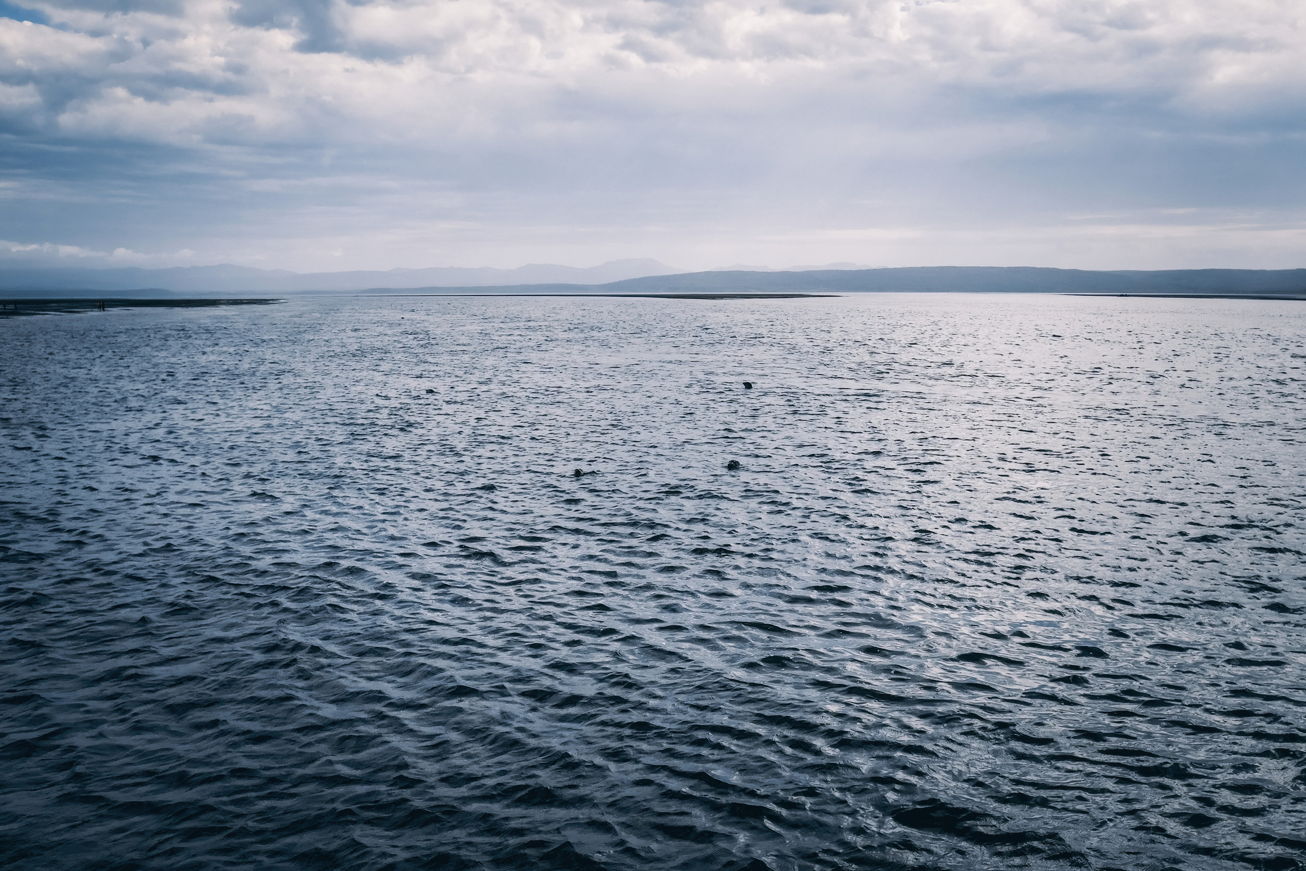 Сахалин. Event фотограф Степанова Александра