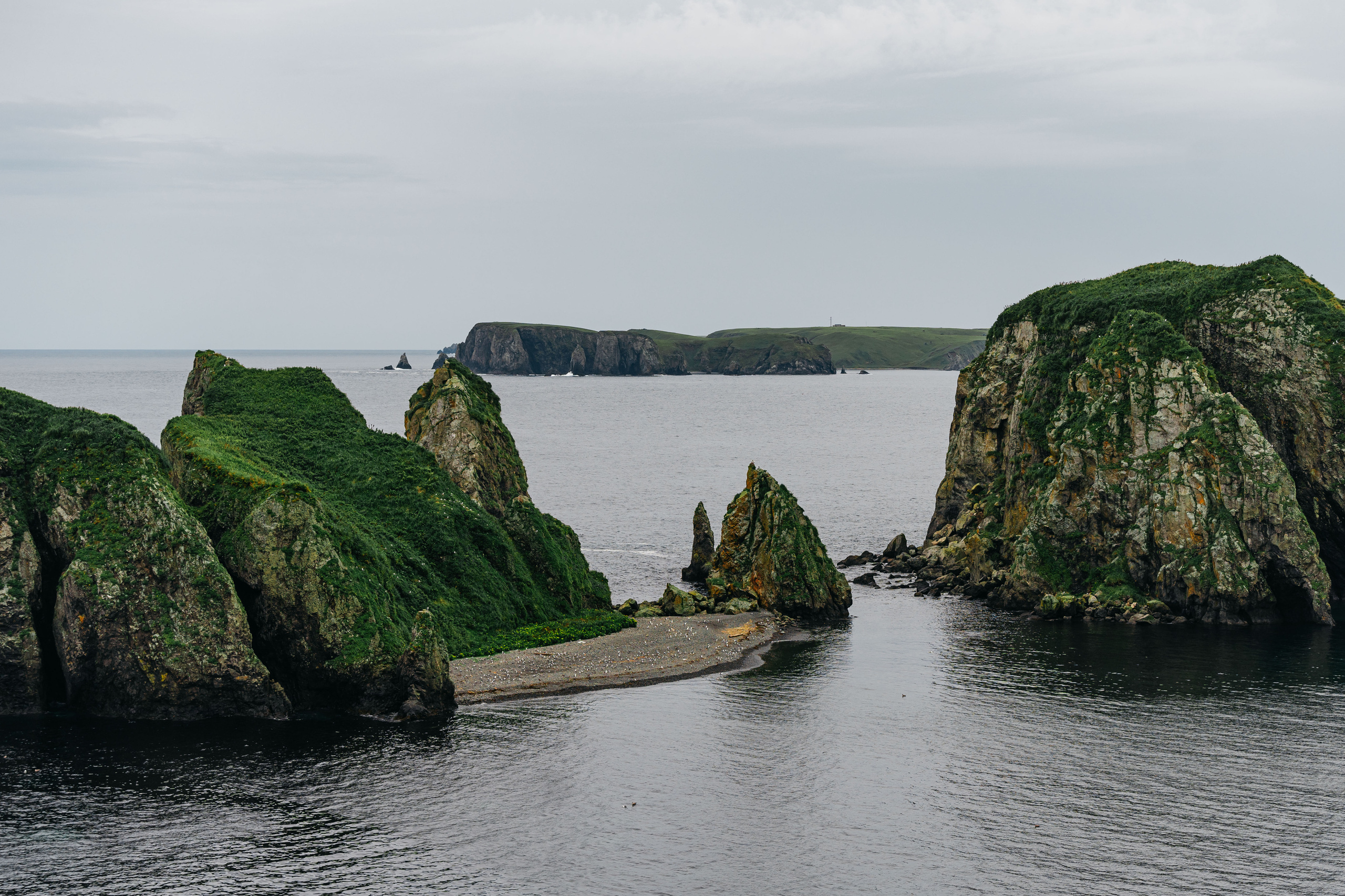 Сахалин. Event фотограф Степанова Александра