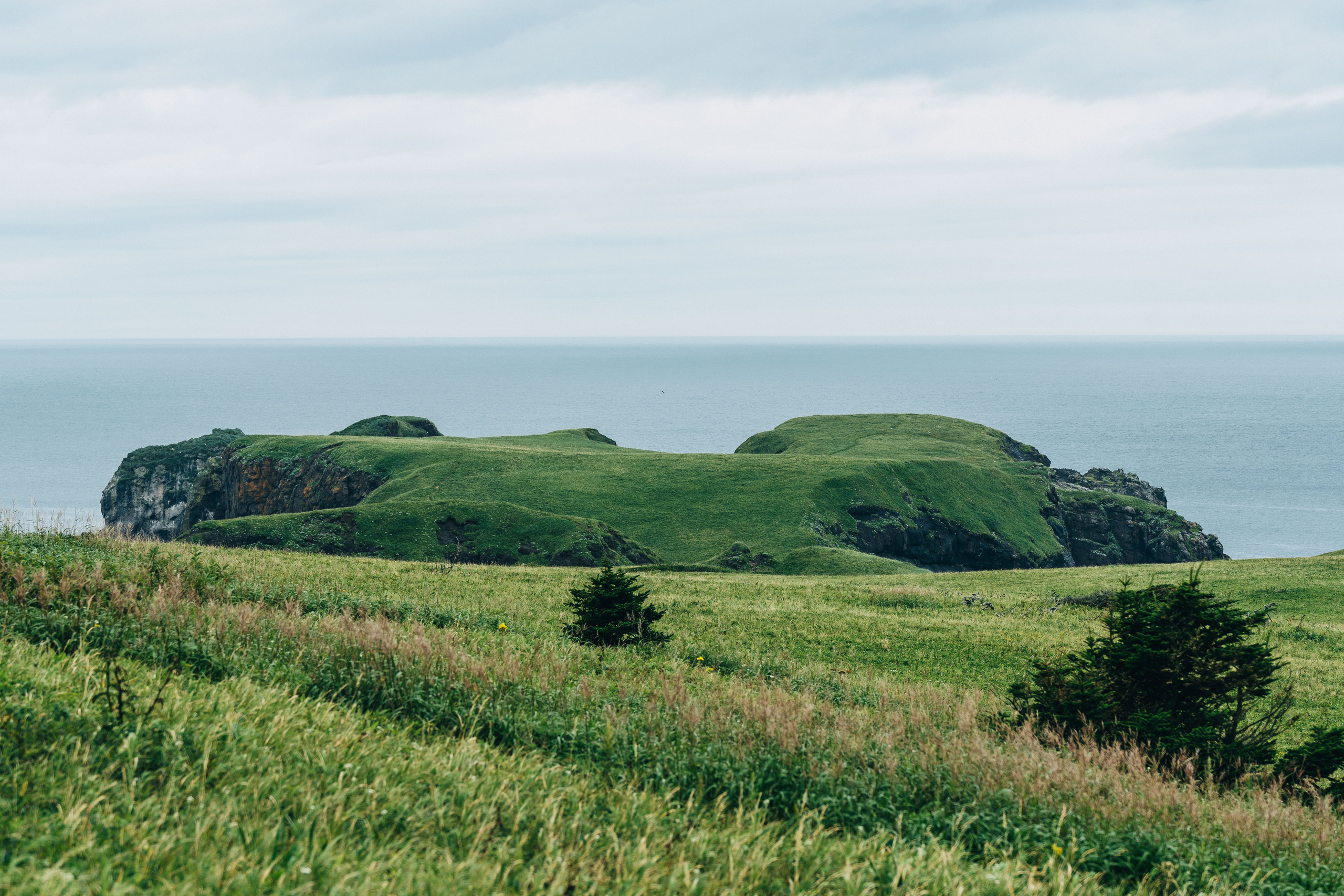 Сахалин. Event фотограф Степанова Александра