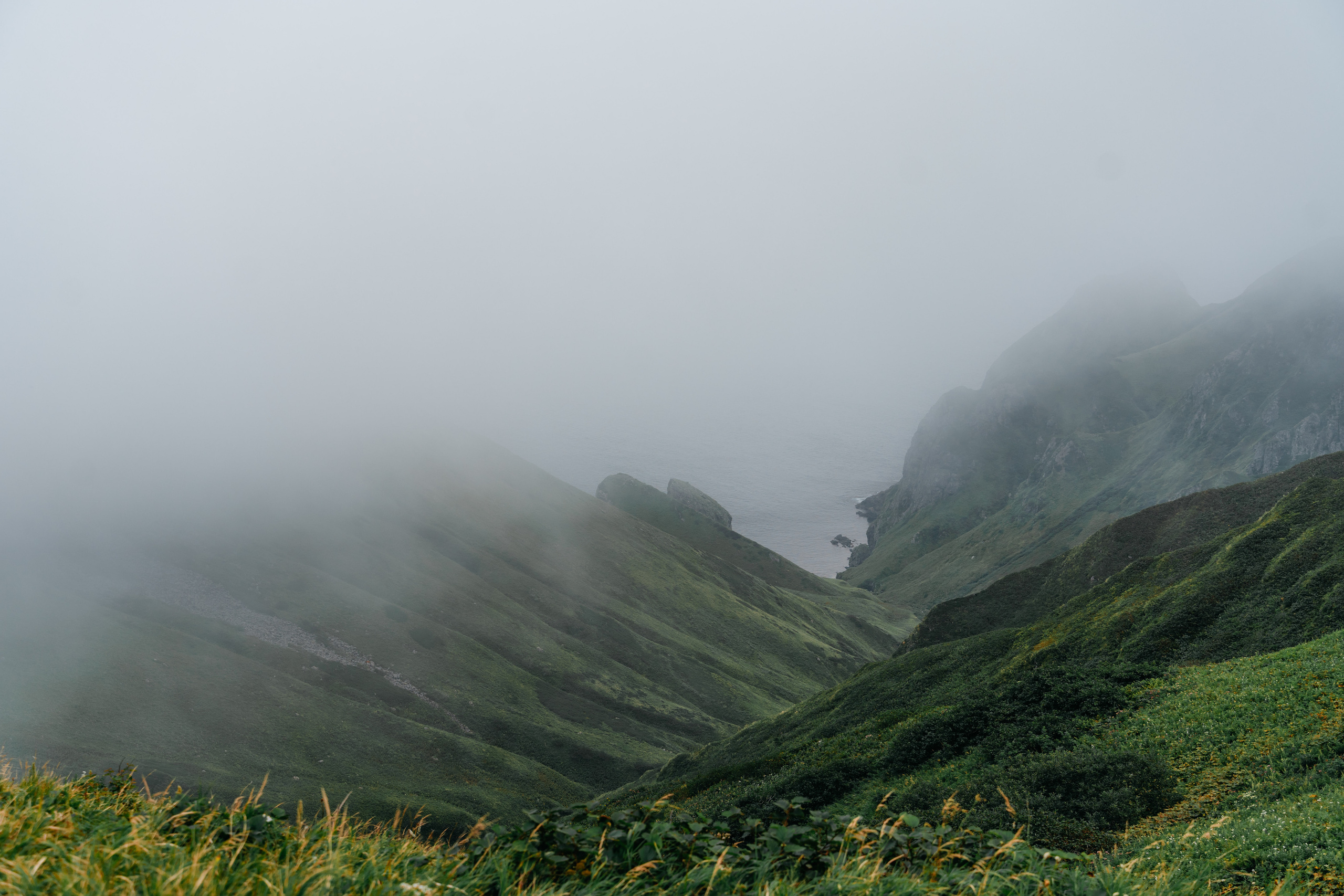 Сахалин. Event фотограф Степанова Александра