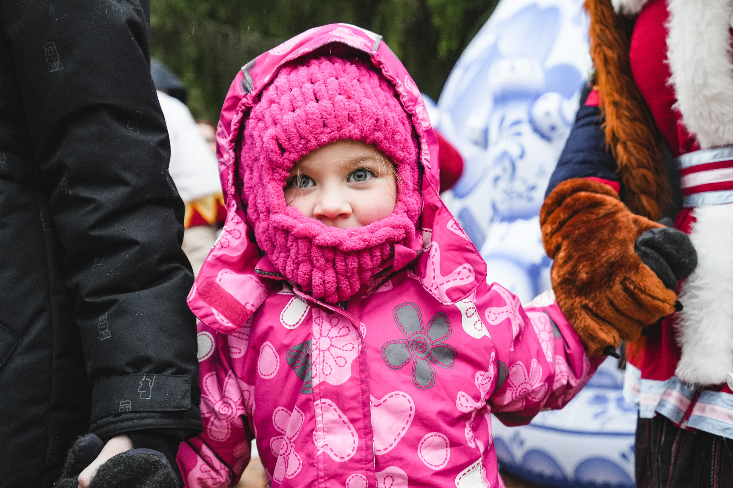 Спил Кремлевской ёлки под Волоколамском. Event фотограф Степанова Александра
