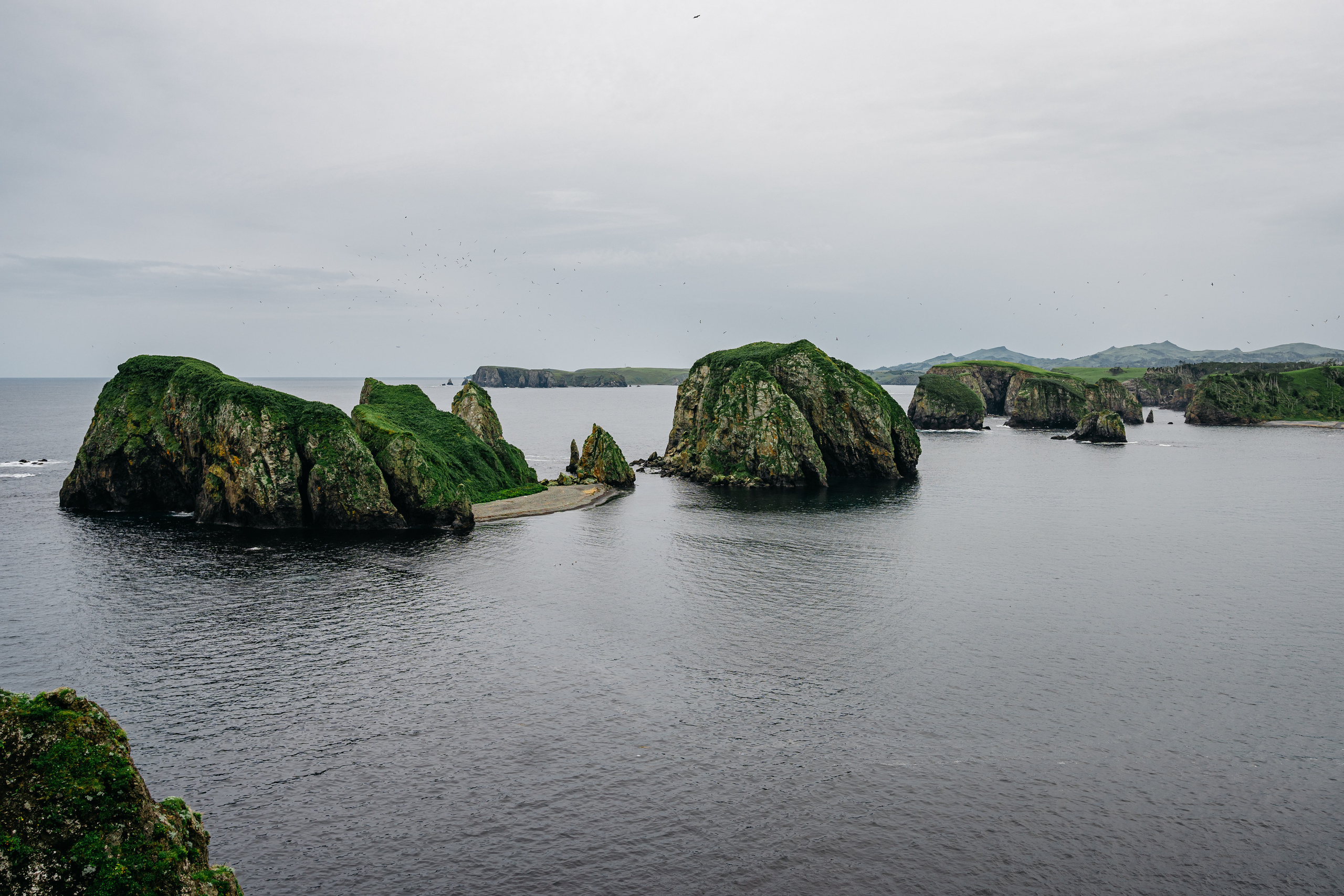 Сахалин. Event фотограф Степанова Александра