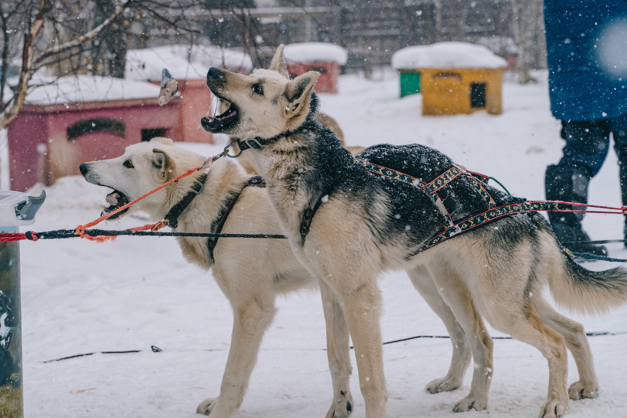 Байкал. Event фотограф Степанова Александра