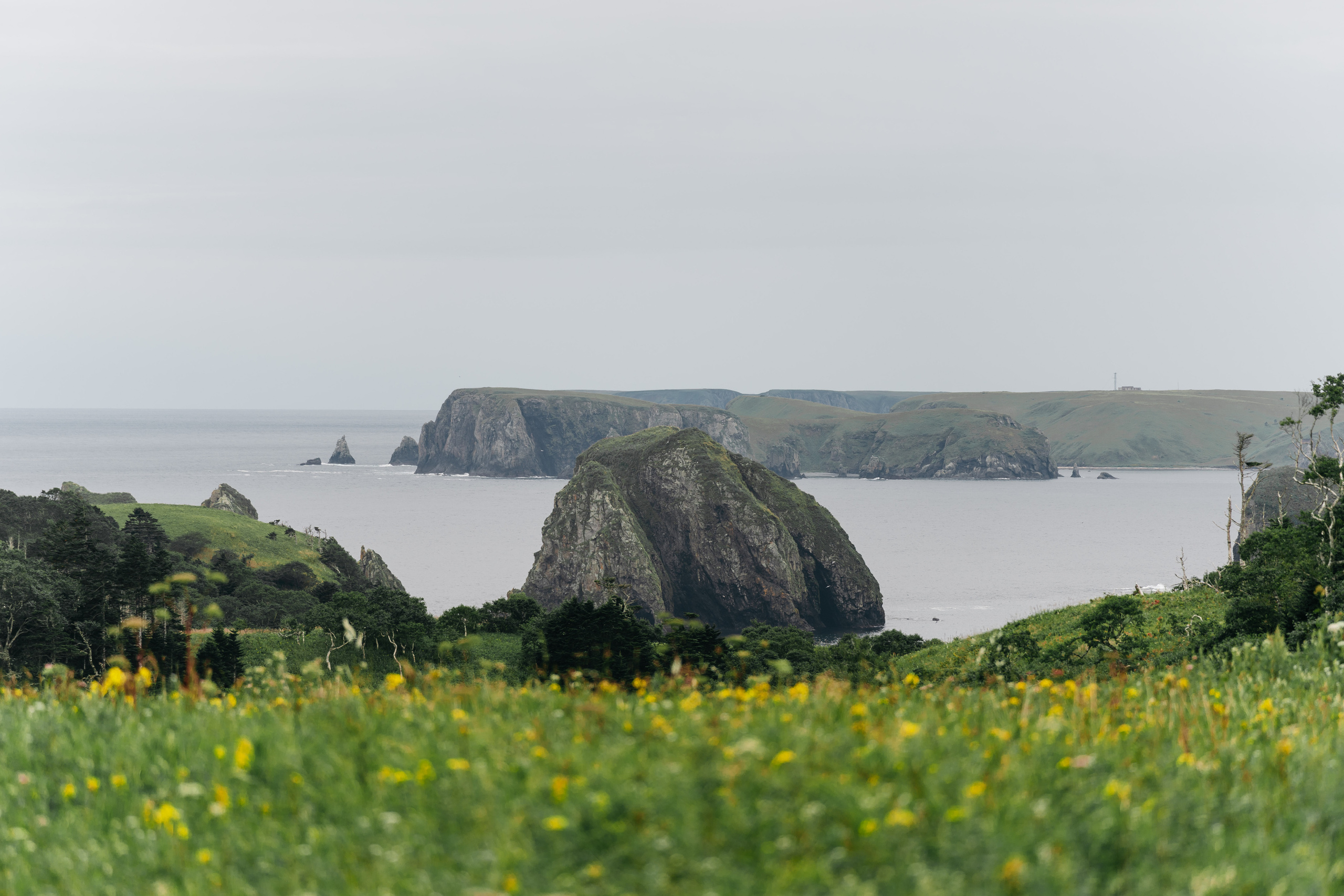 Сахалин. Event фотограф Степанова Александра