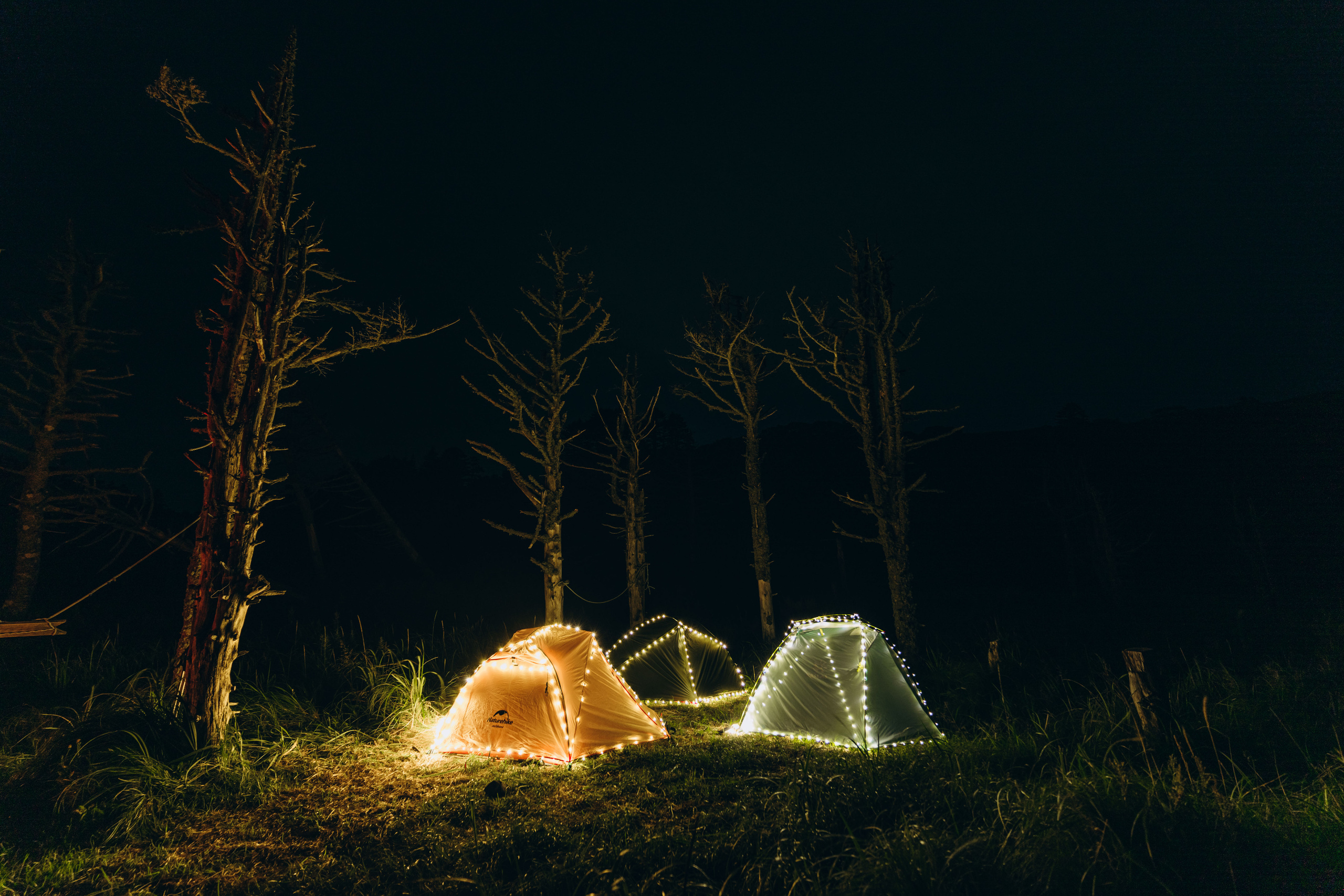 Сахалин. Event фотограф Степанова Александра