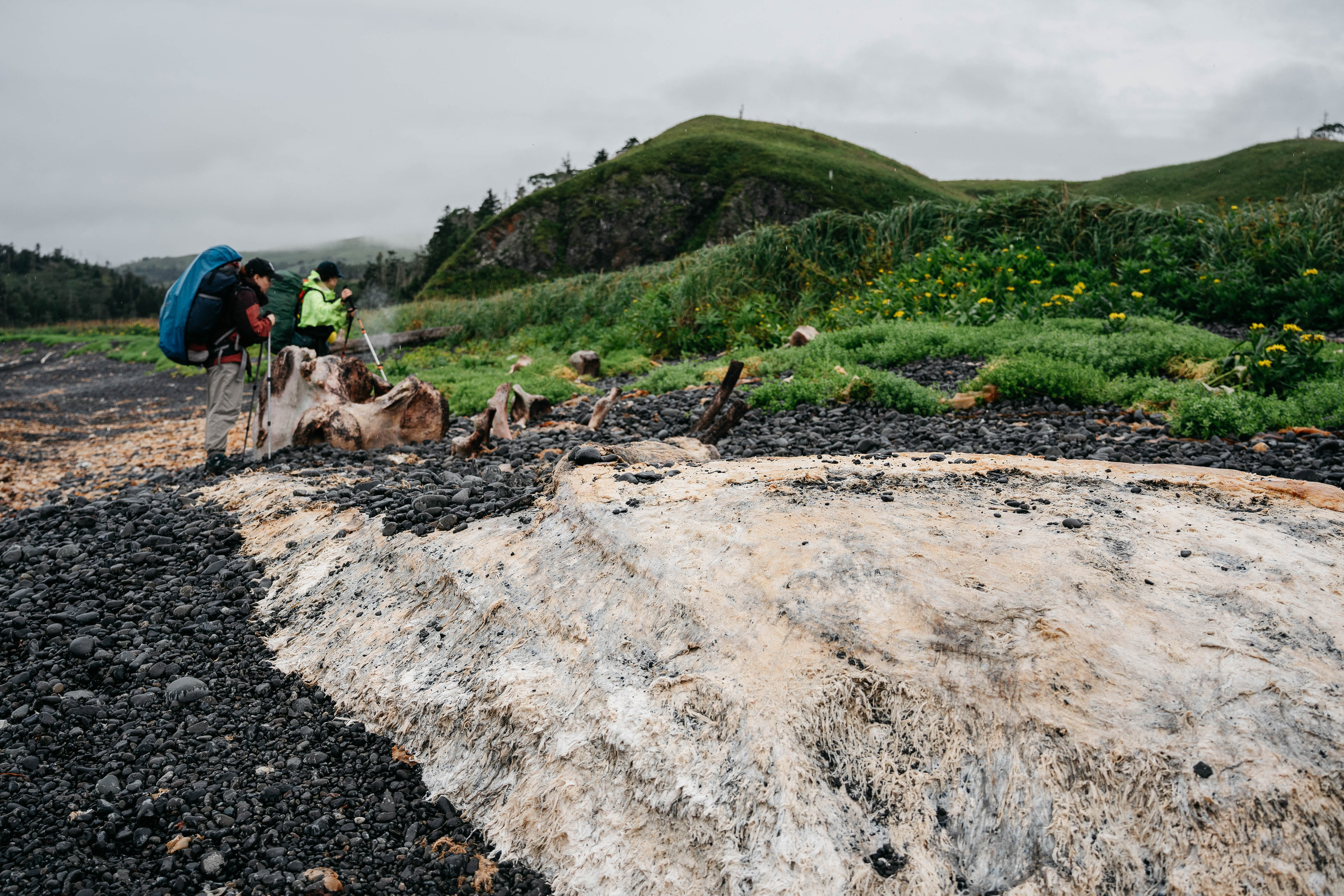 Сахалин. Event фотограф Степанова Александра
