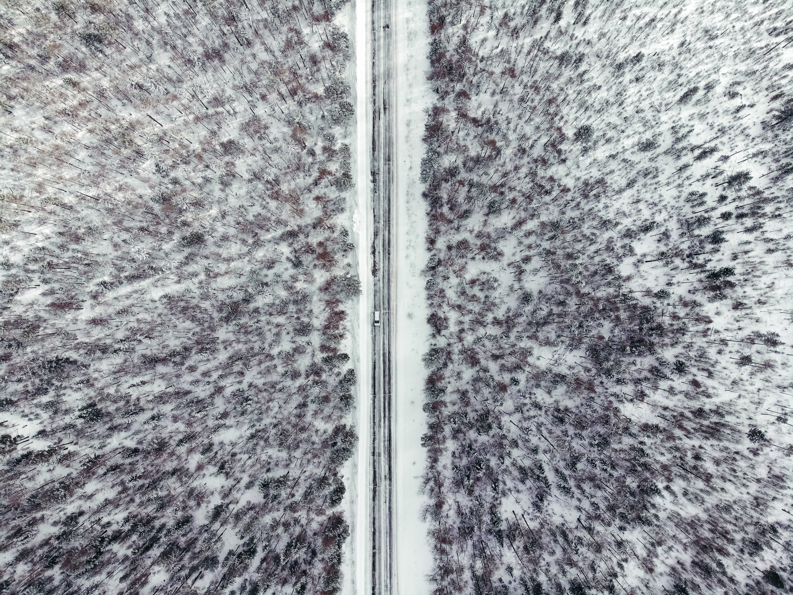 Байкал. Event фотограф Степанова Александра