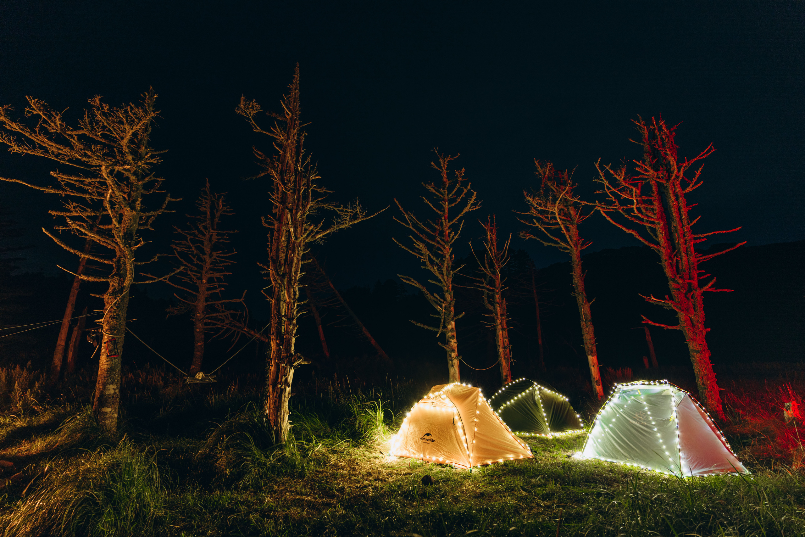 Сахалин. Event фотограф Степанова Александра