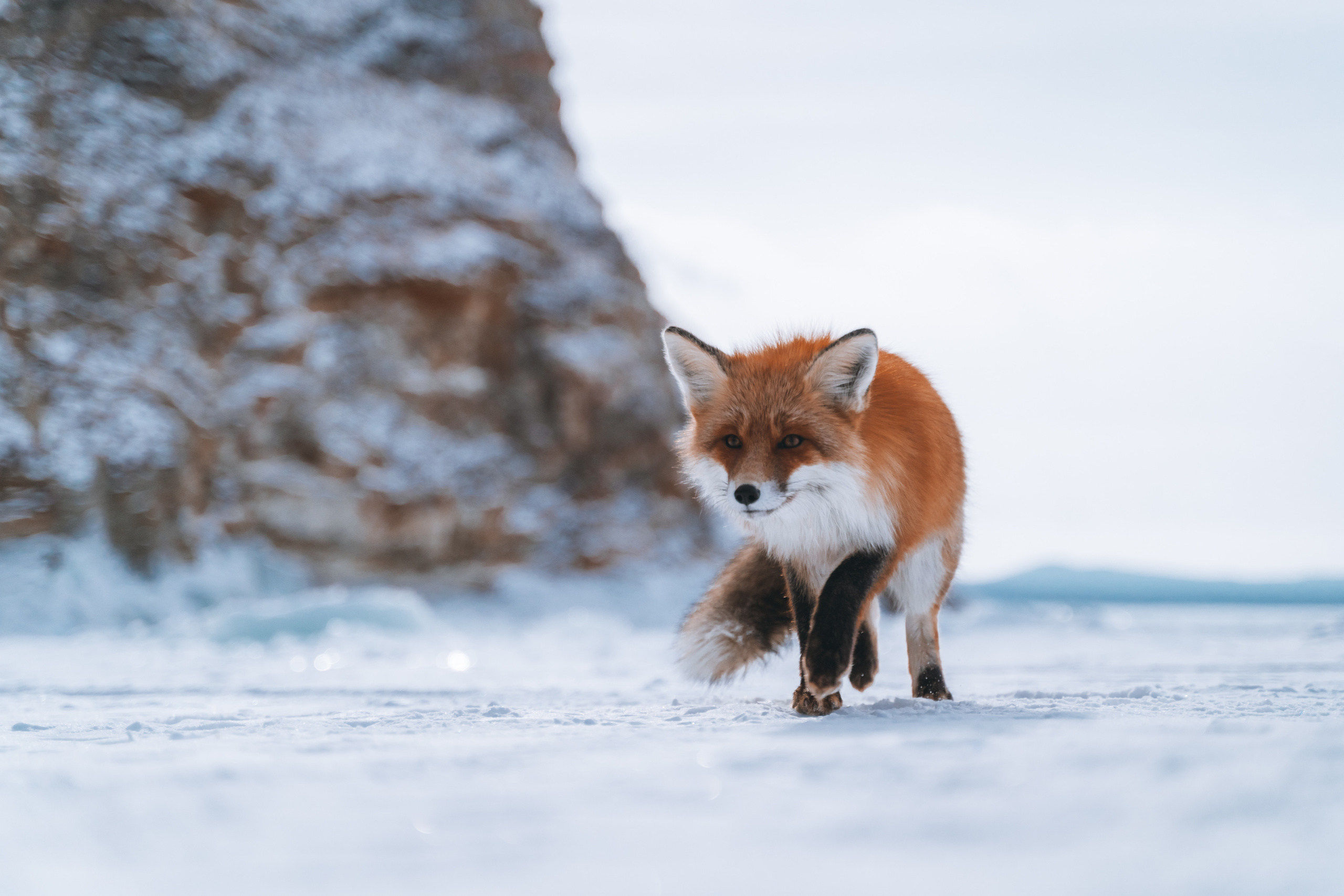 Байкал. Event фотограф Степанова Александра
