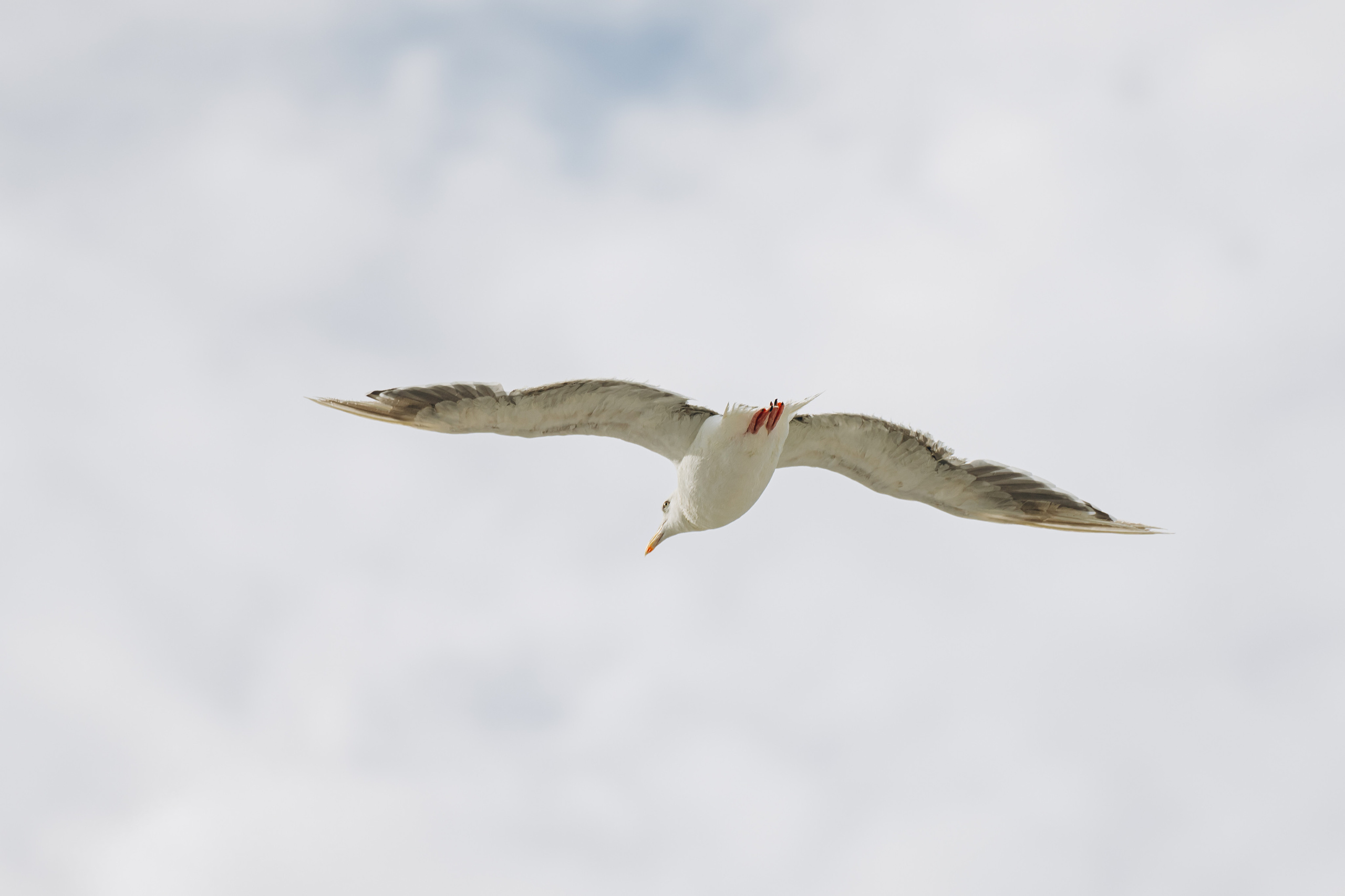 Сахалин. Event фотограф Степанова Александра