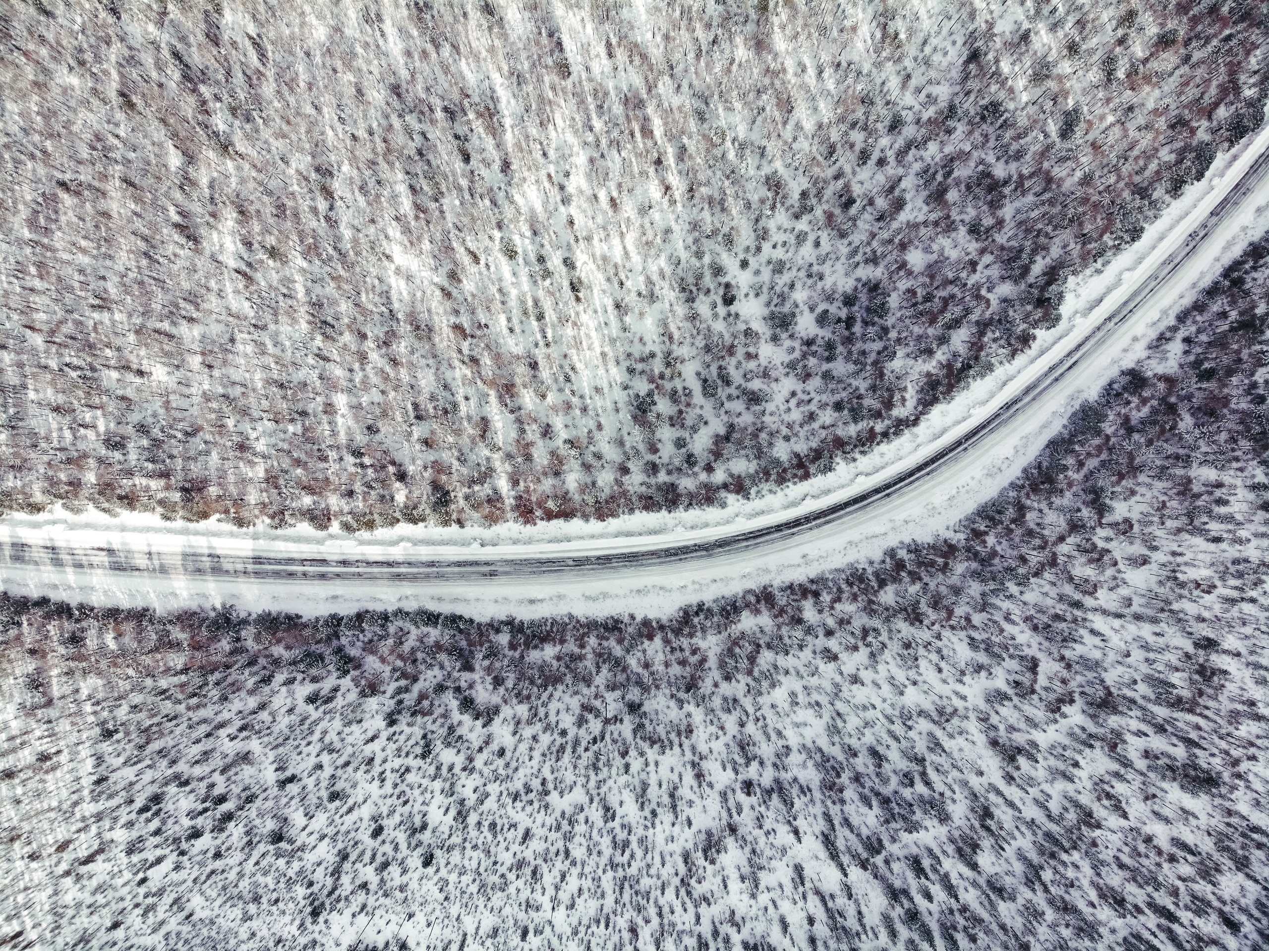 Байкал. Event фотограф Степанова Александра