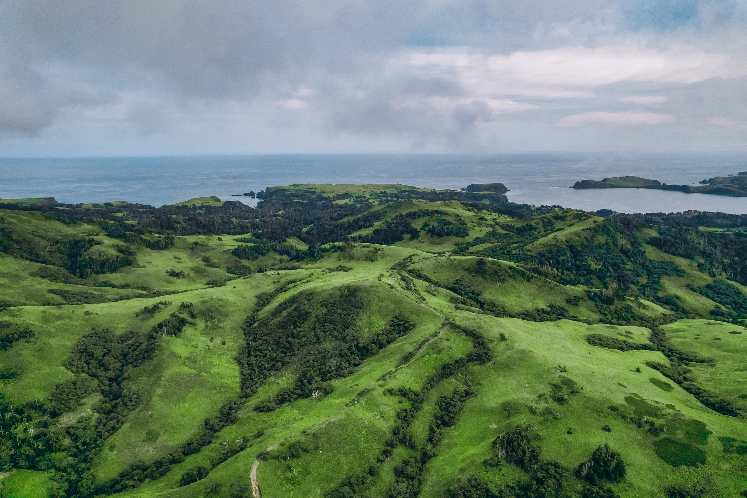 Сахалин. Event фотограф Степанова Александра