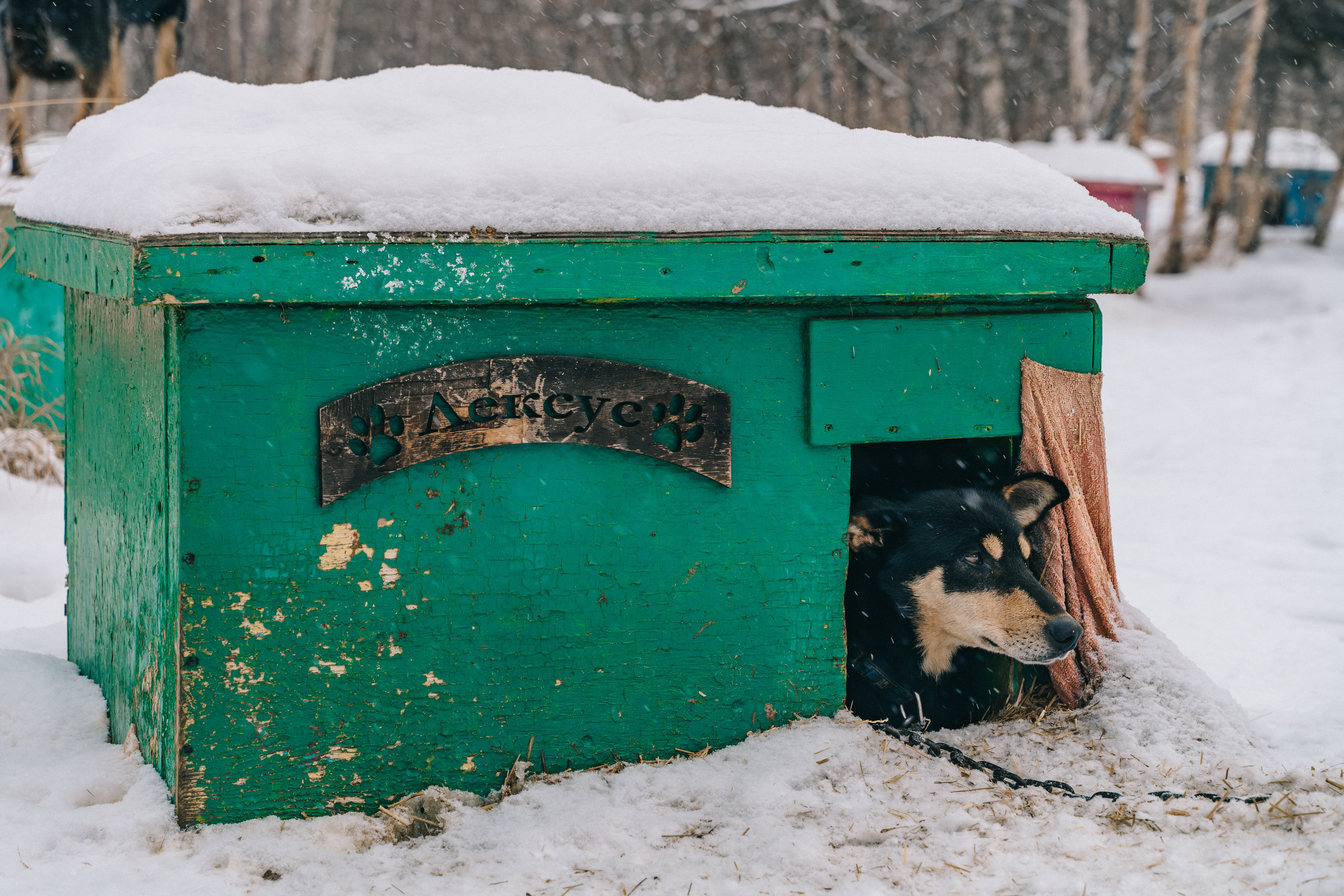 Байкал. Event фотограф Степанова Александра