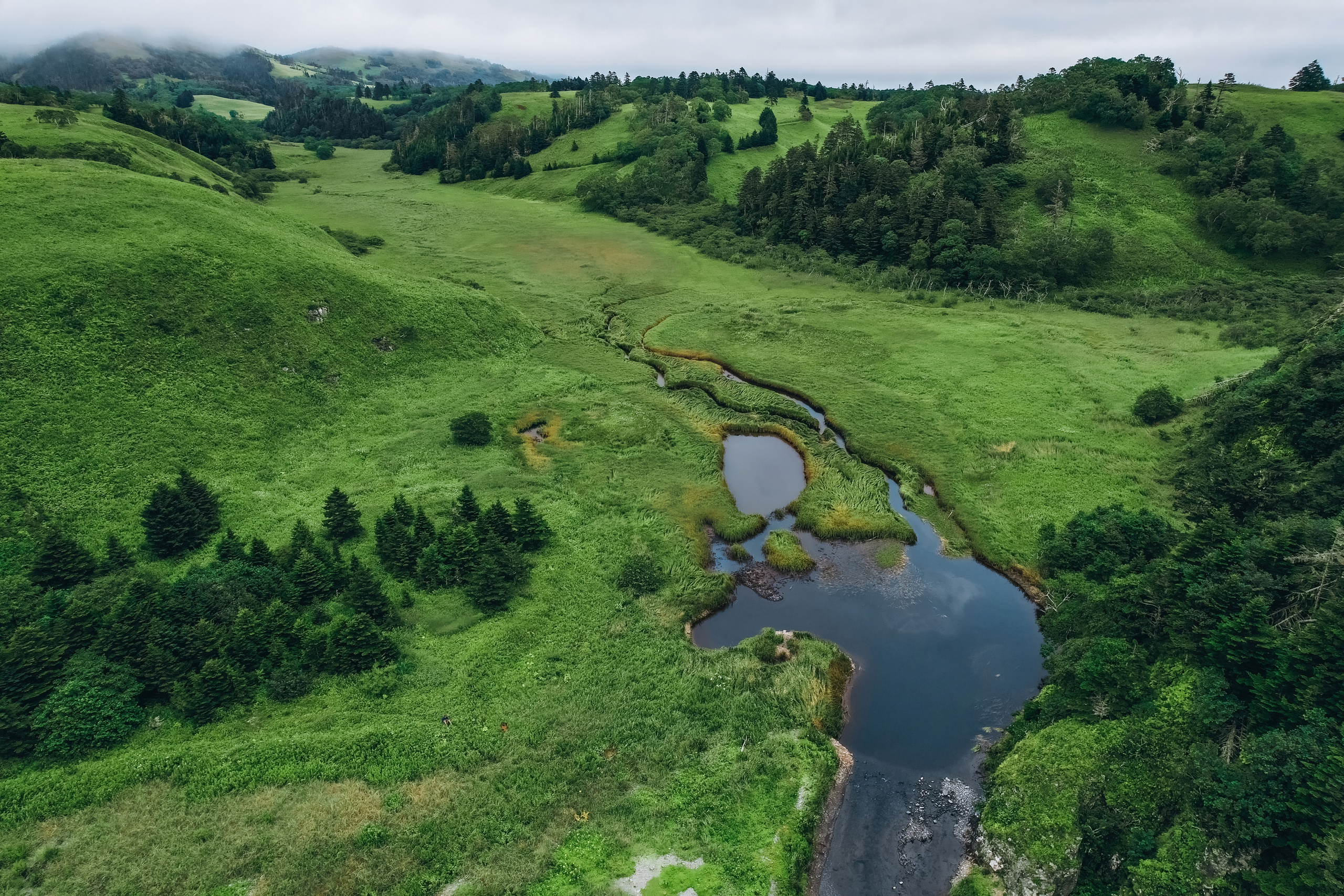 Сахалин. Event фотограф Степанова Александра