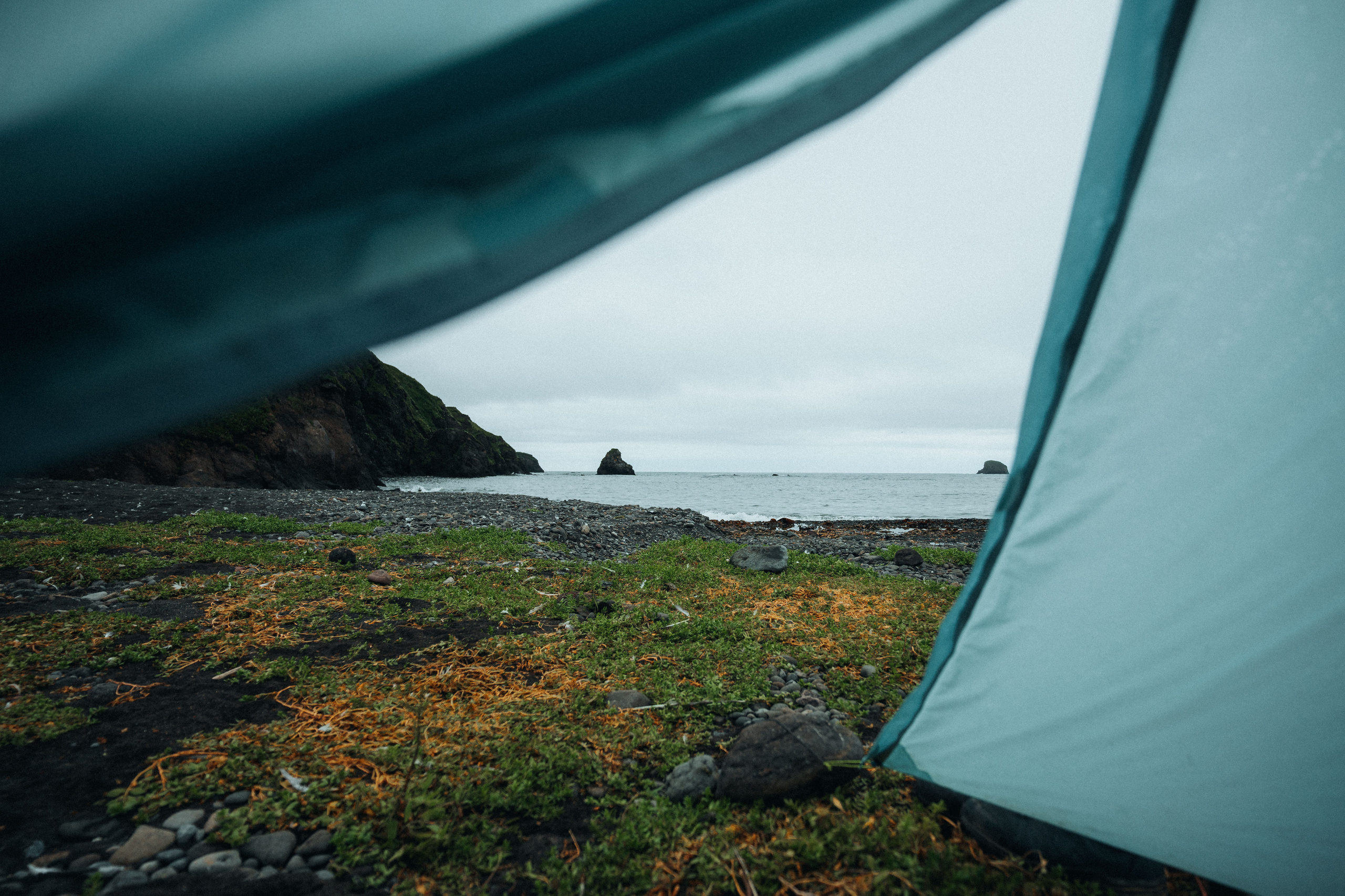 Сахалин. Event фотограф Степанова Александра