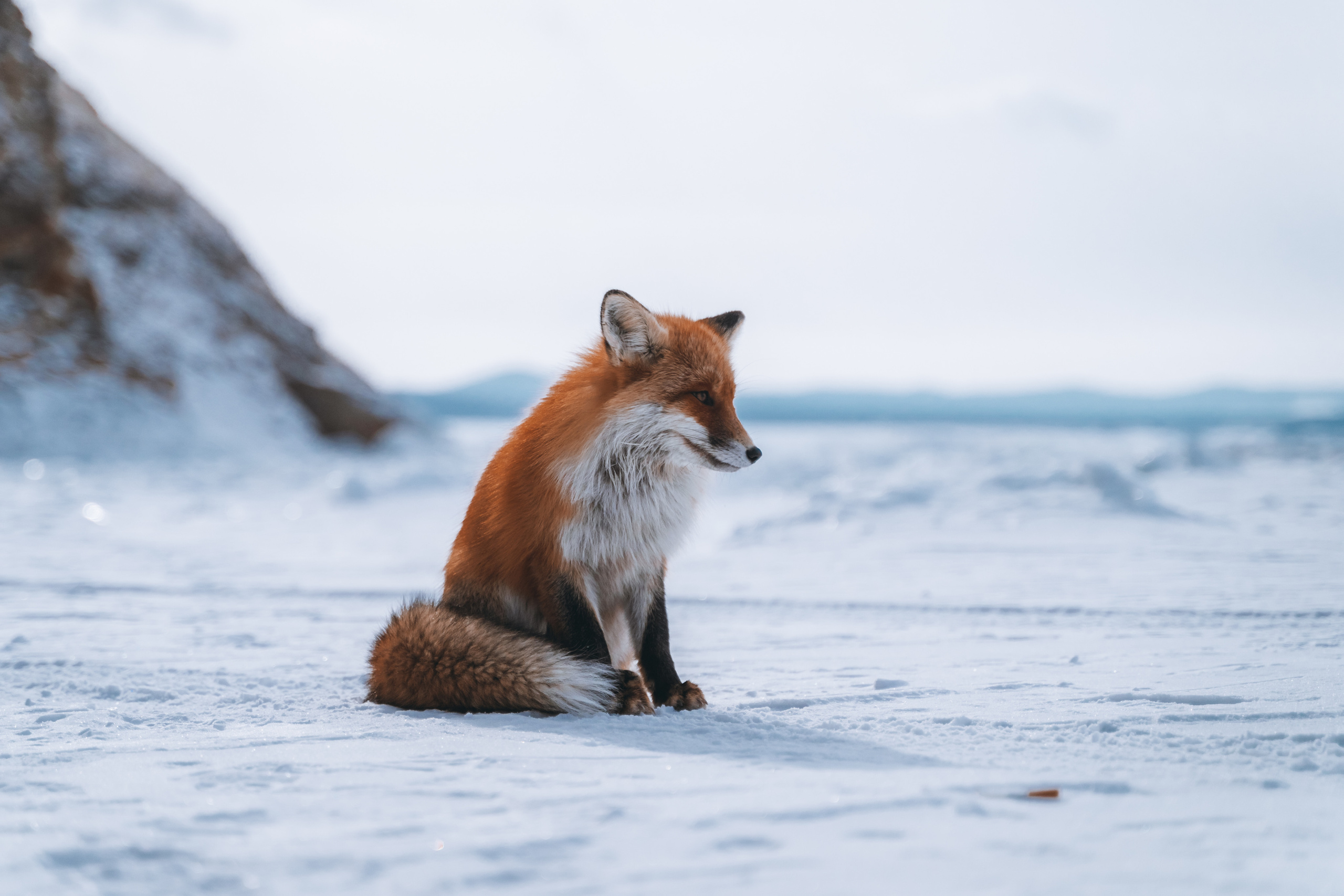 Байкал. Event фотограф Степанова Александра