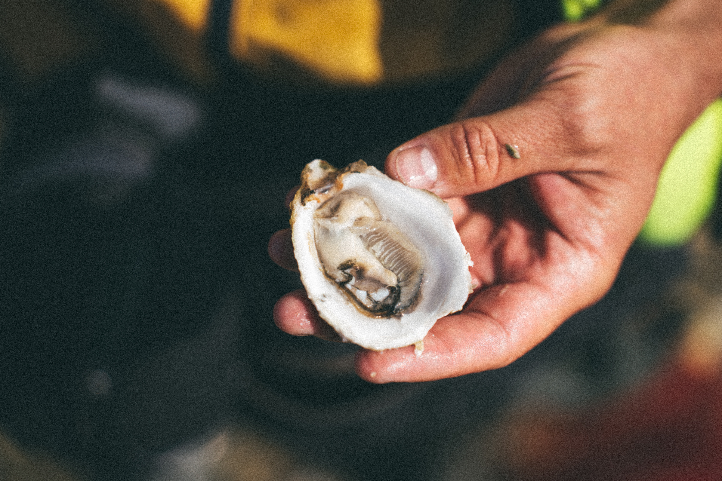 Остров Шикотан. Event фотограф Степанова Александра