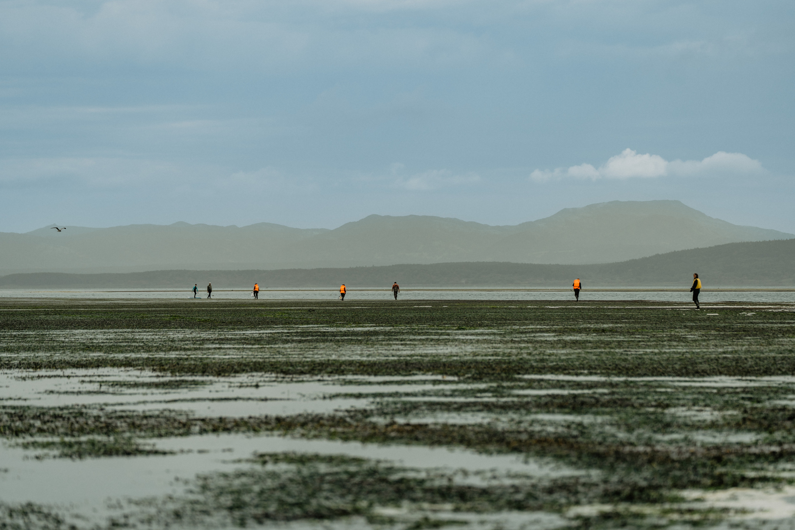 Сахалин. Event фотограф Степанова Александра