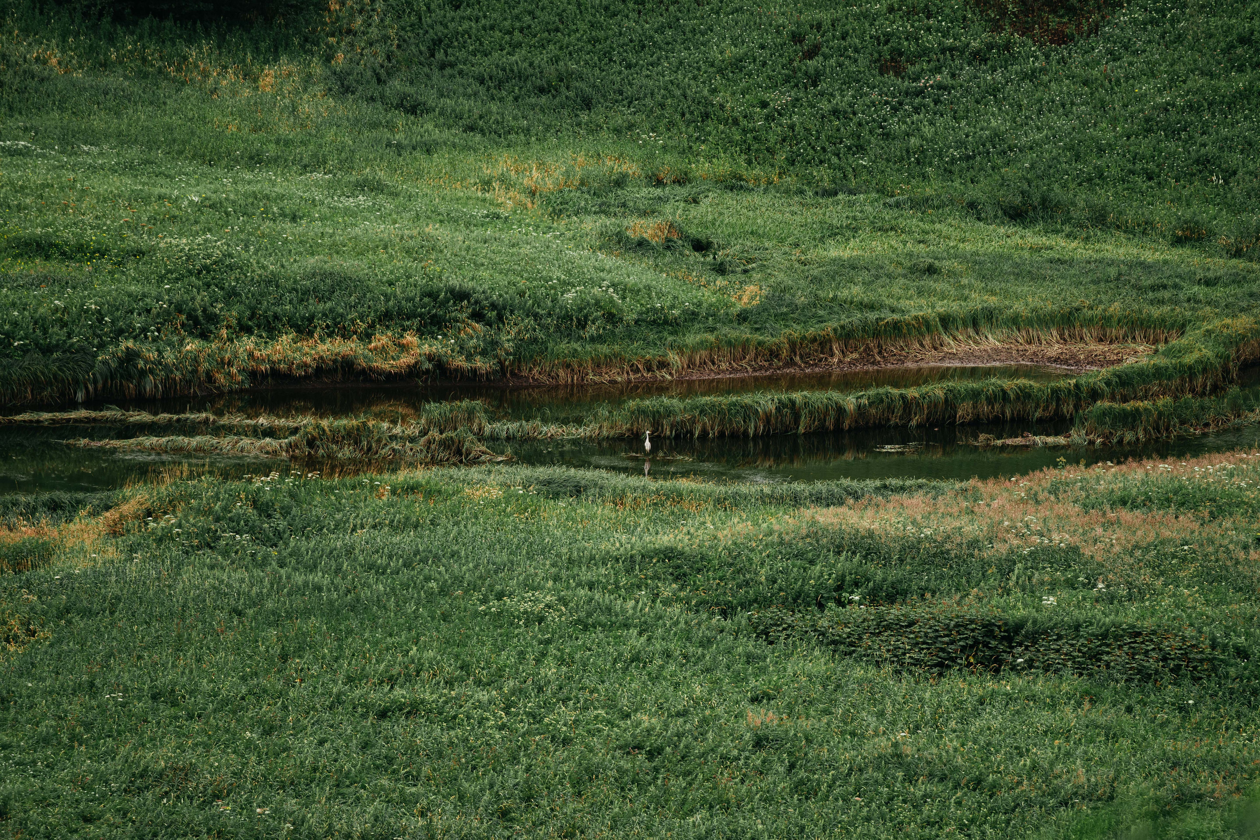 Сахалин. Event фотограф Степанова Александра
