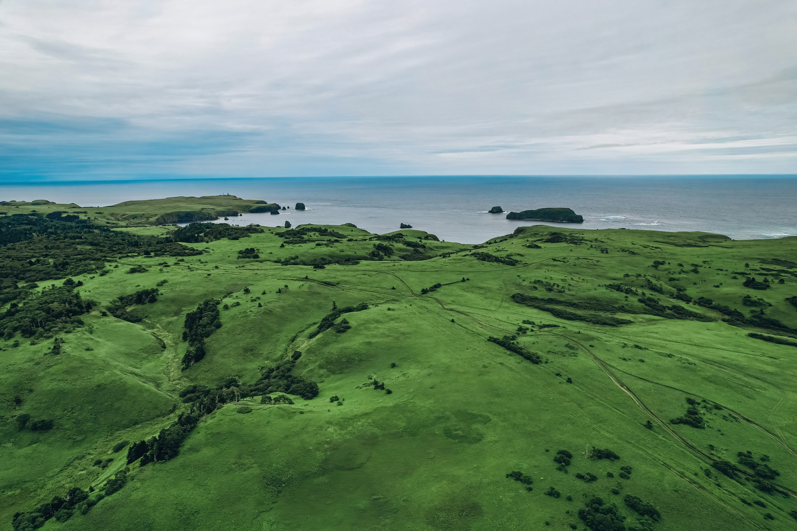 Сахалин. Event фотограф Степанова Александра