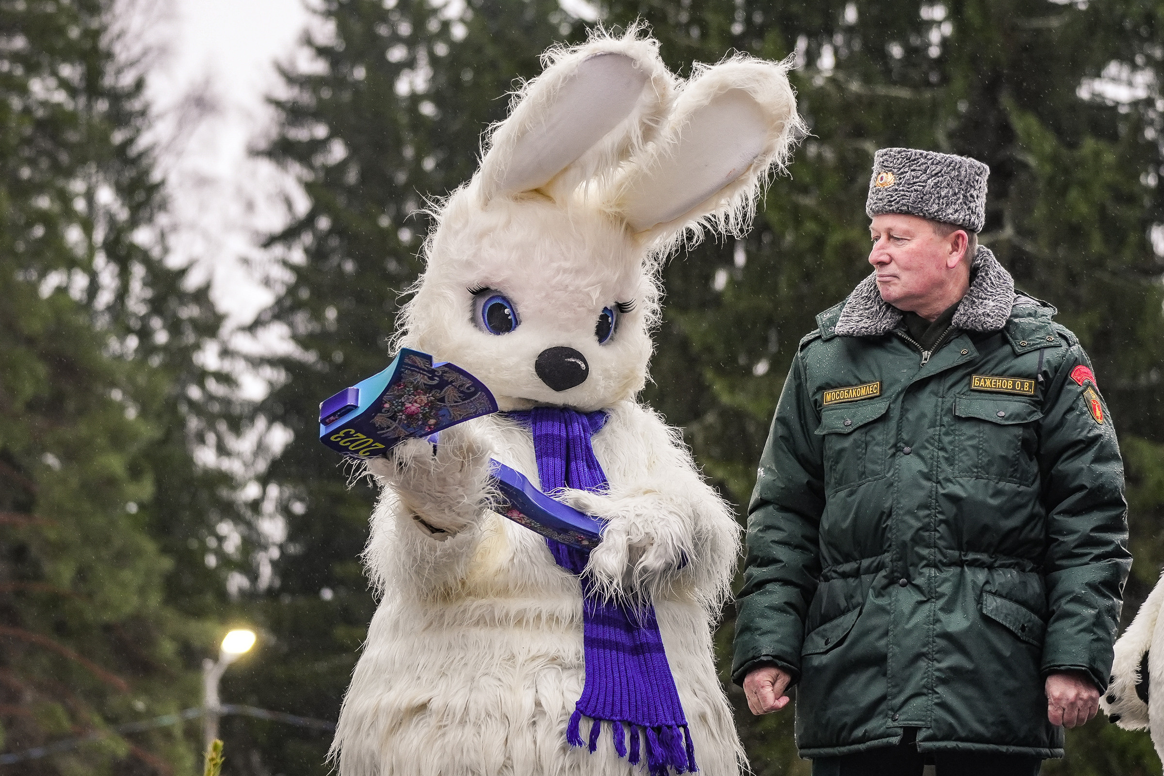 Спил Кремлевской ёлки под Волоколамском. Event фотограф Степанова Александра