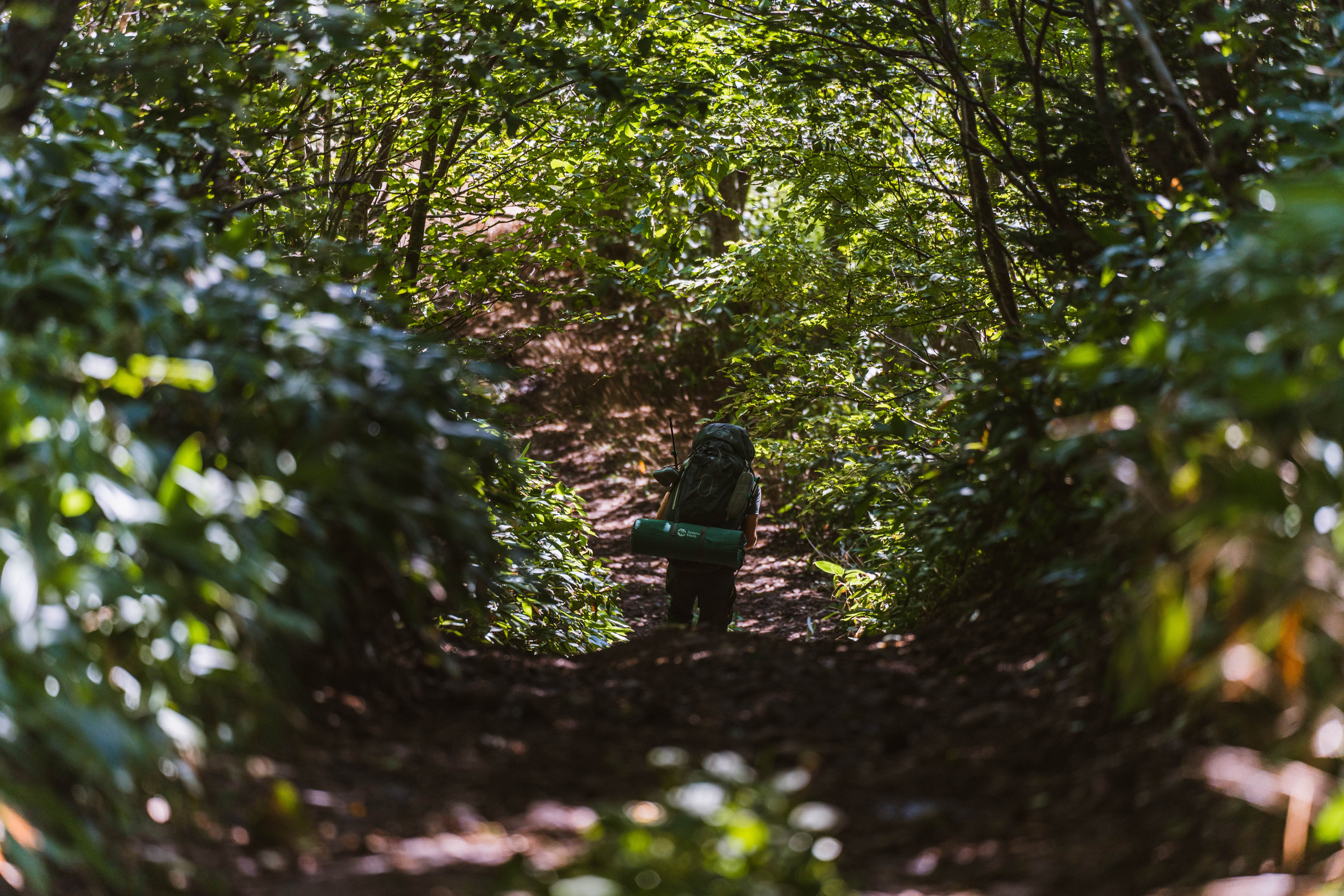 Сахалин. Event фотограф Степанова Александра