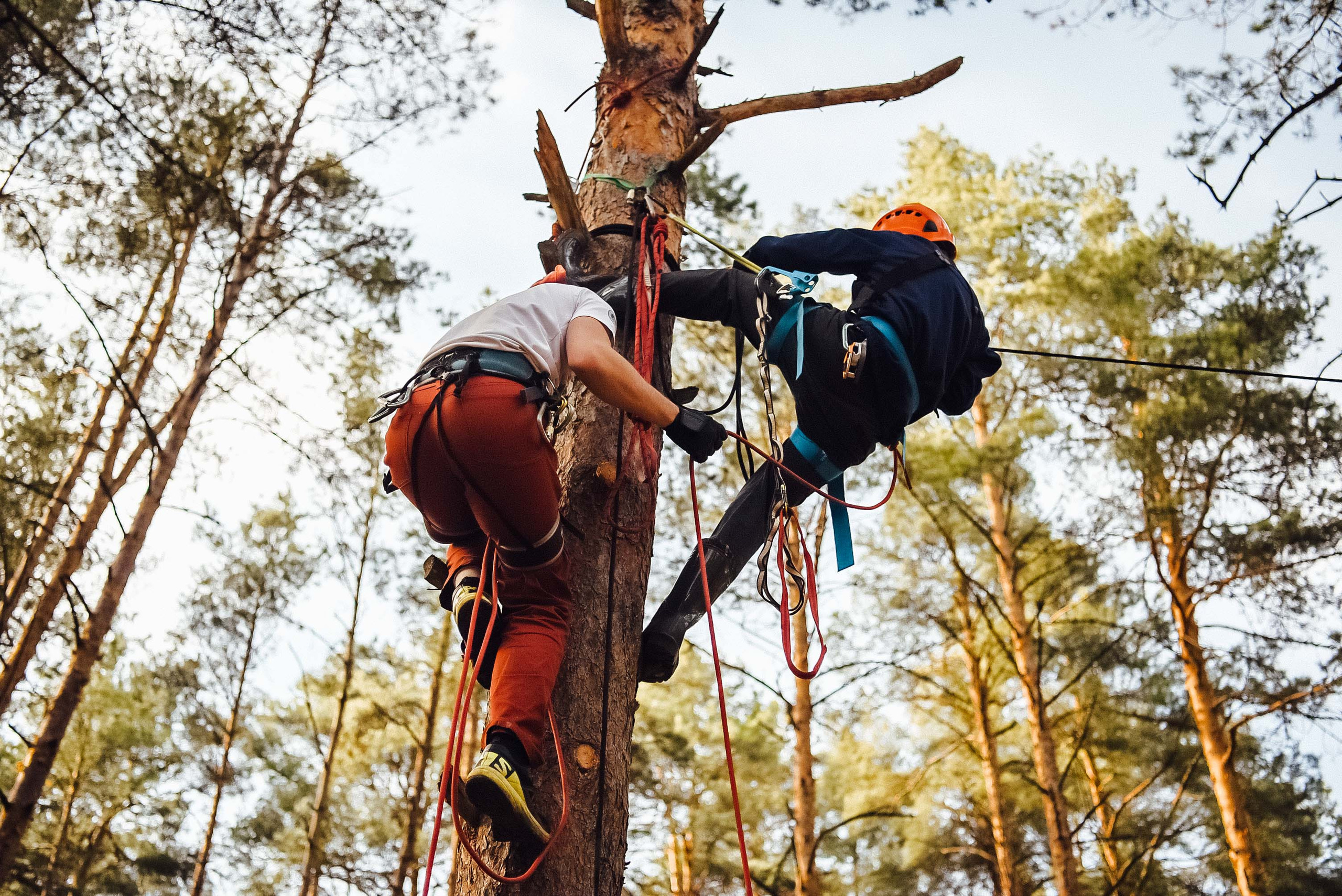Турслет. Event фотограф Степанова Александра