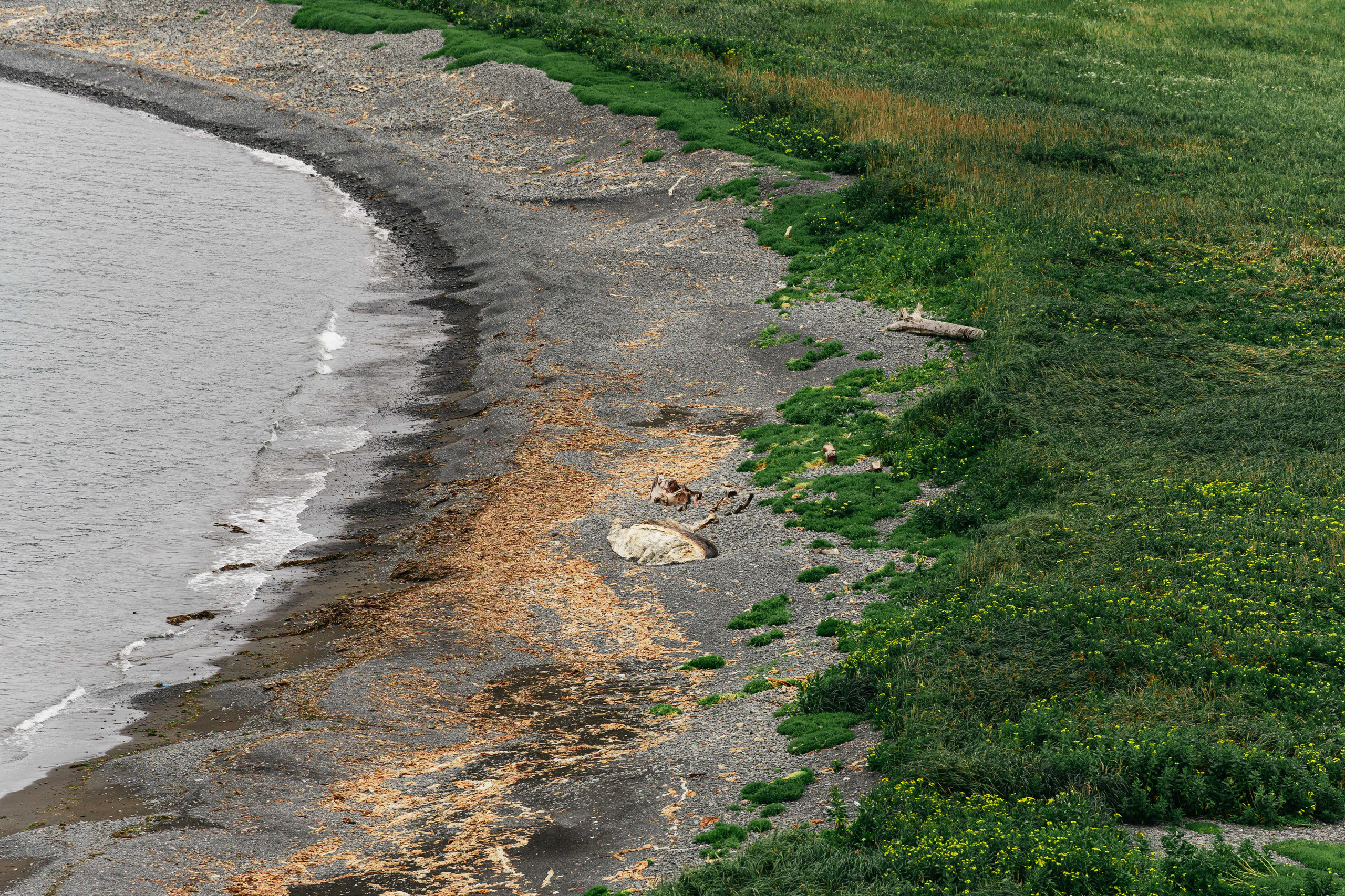 Сахалин. Event фотограф Степанова Александра